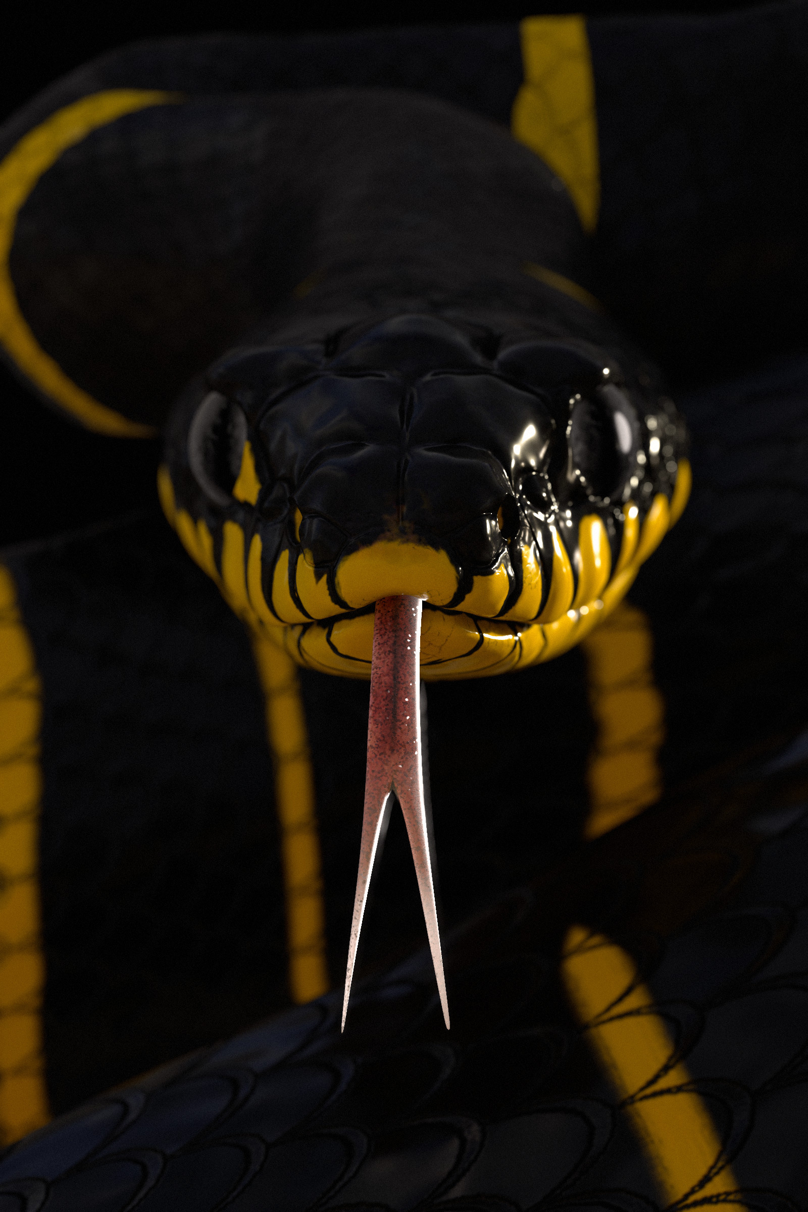 Boiga snake, Artistic study, Detailed captures, Snake beauty, 1600x2400 HD Handy