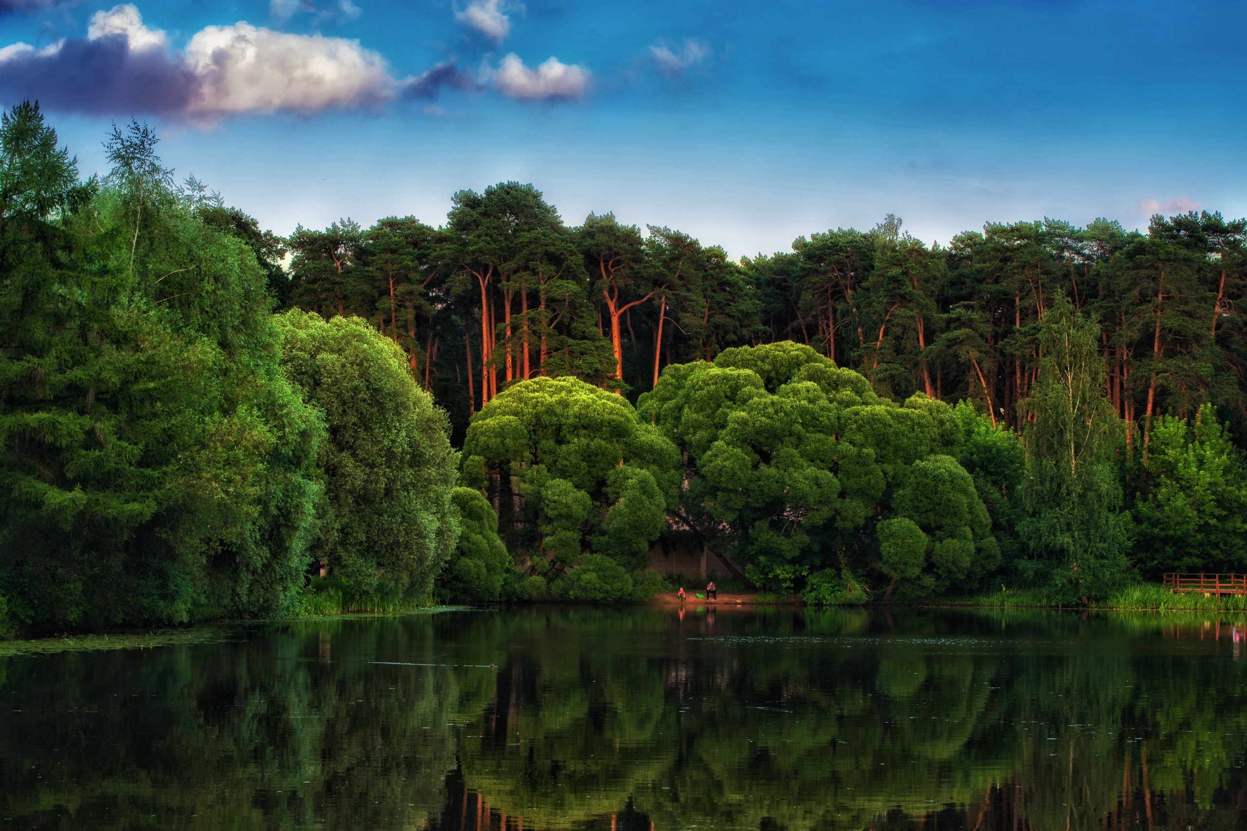 Forested wonder, Nature's canvas, Mystic allure, Picturesque serenity, 2560x1710 HD Desktop