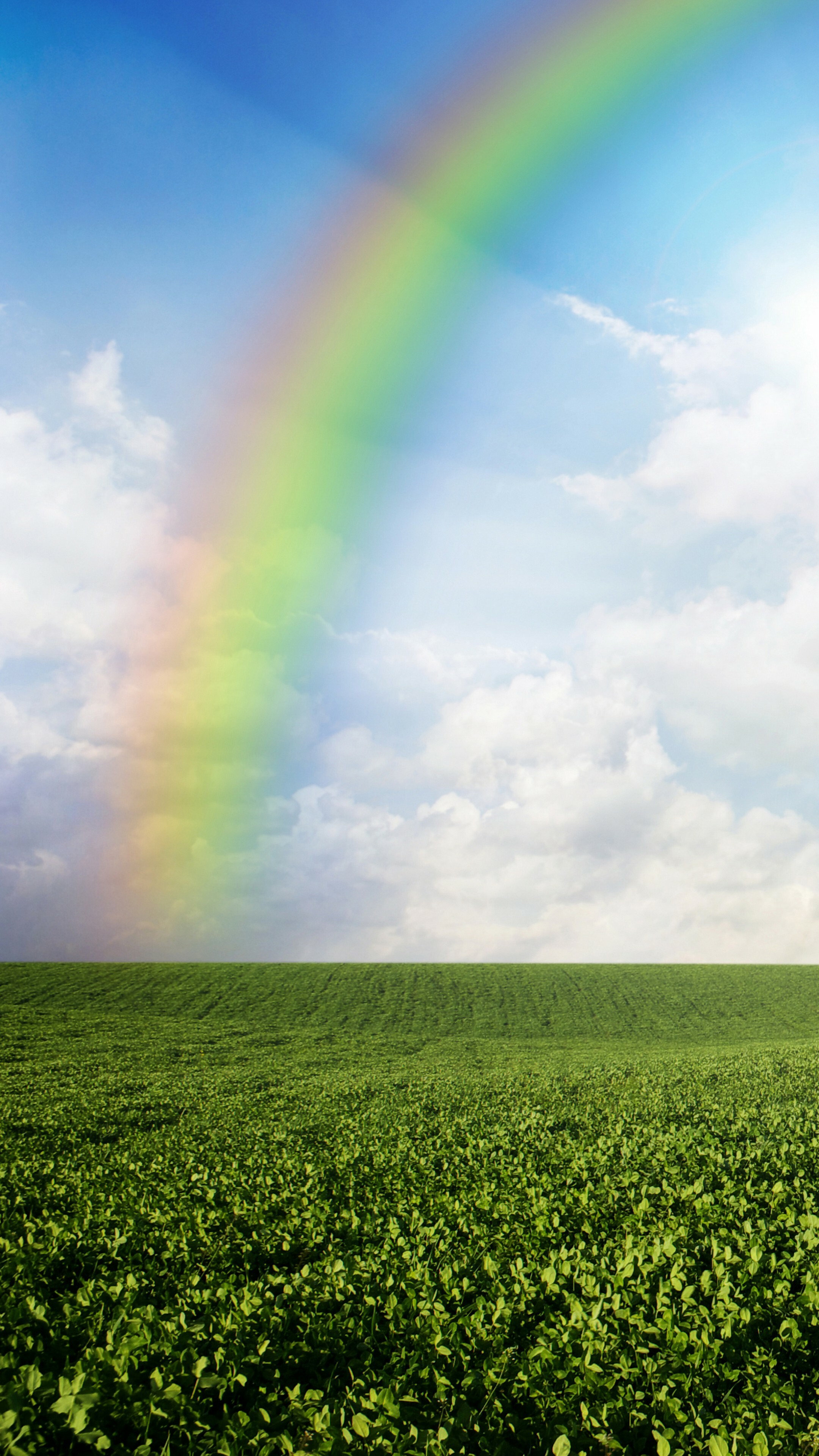 Rainbow Colors: Meadows, Sky, Clouds, Nature, Multicolored arc. 2160x3840 4K Wallpaper.