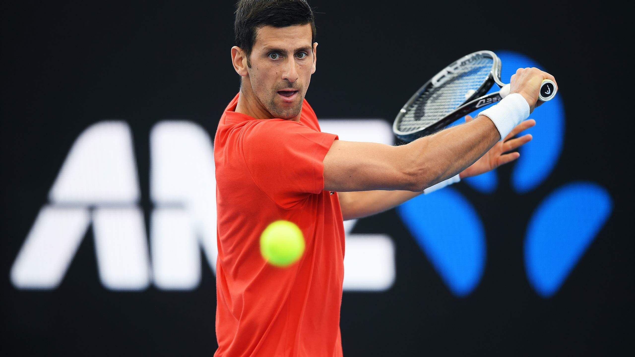 Novak Djokovic: The Serbian champion, US Open. 2560x1440 HD Wallpaper.