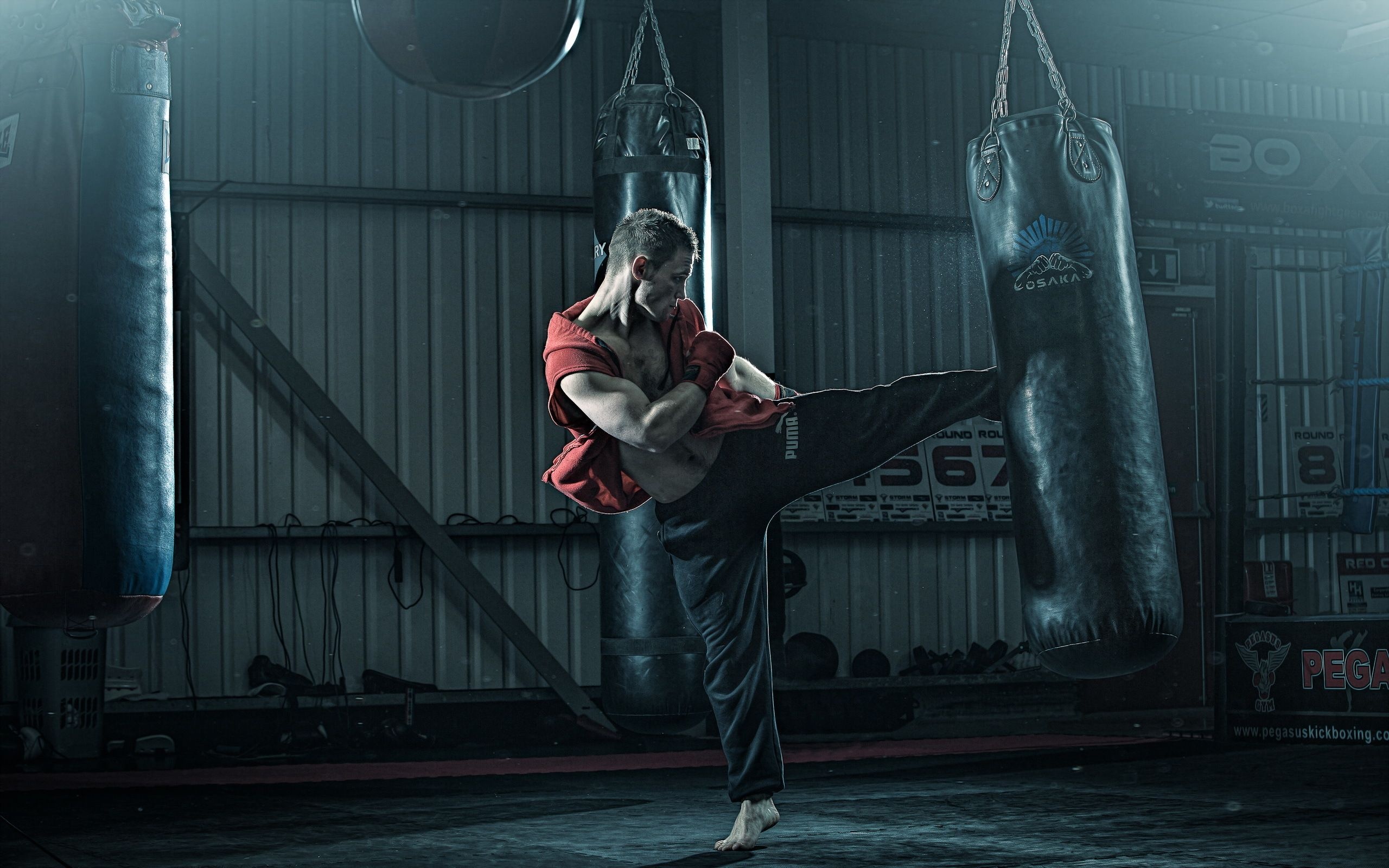 Combat Sports: Kickboxing, Kicking and Punching, World Kickboxing Association, Heavy Bag. 2560x1600 HD Wallpaper.