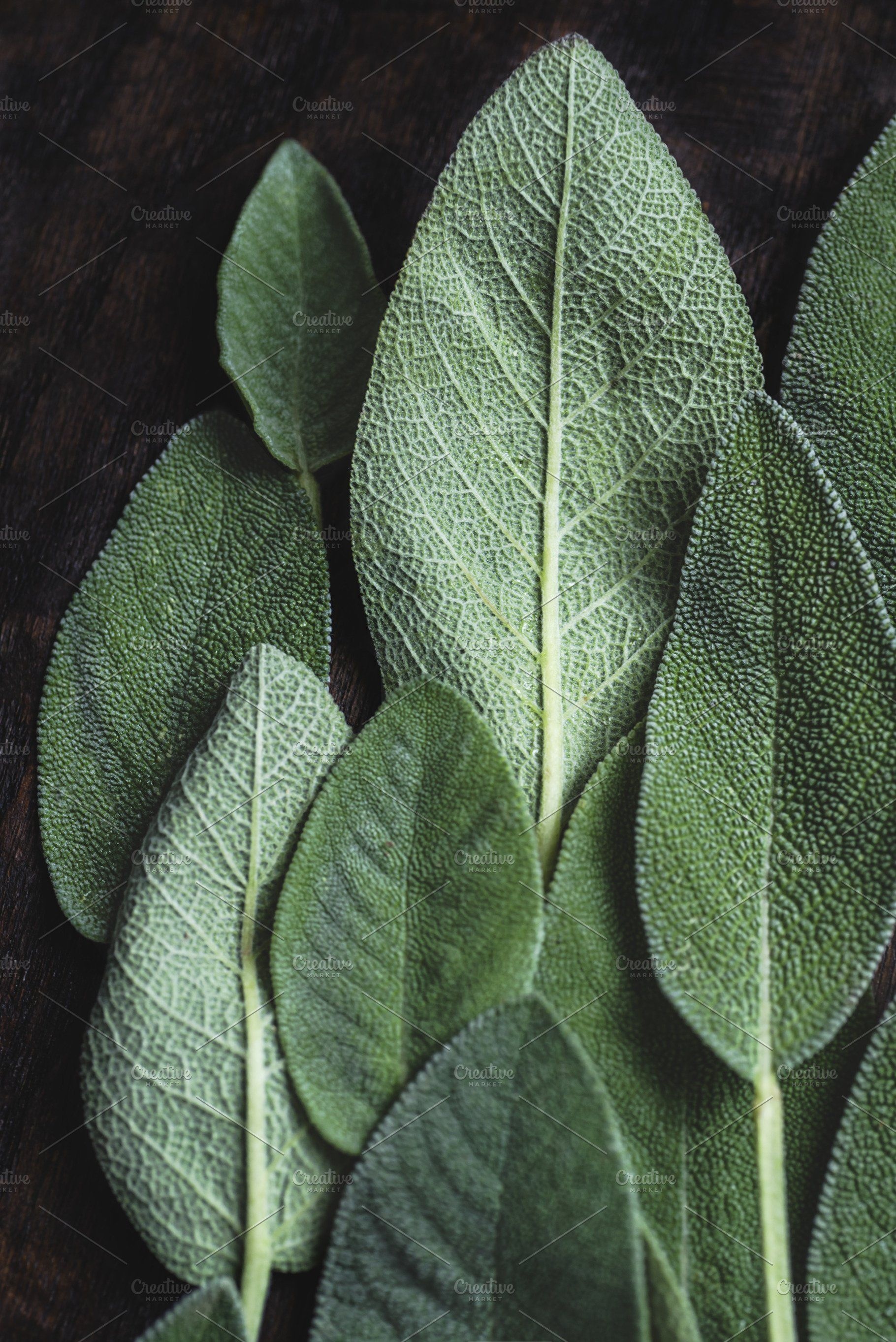 Sage herb, Leaves inspiration, Sage leaves, Leaf ideas, 1820x2730 HD Handy