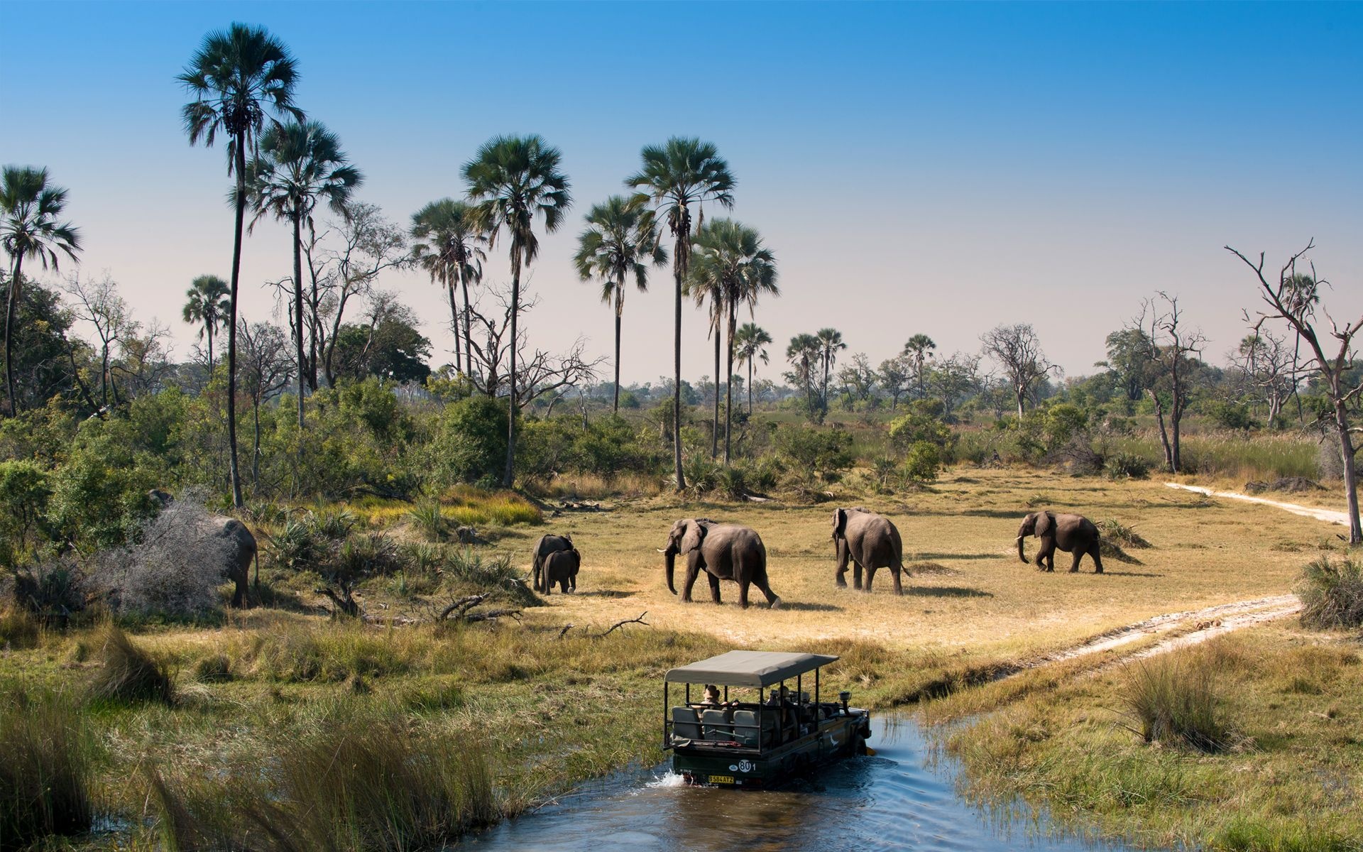 Exploring Okavango Delta, Kalahari desert, Botswana gem, Nature's wonder, 1920x1200 HD Desktop