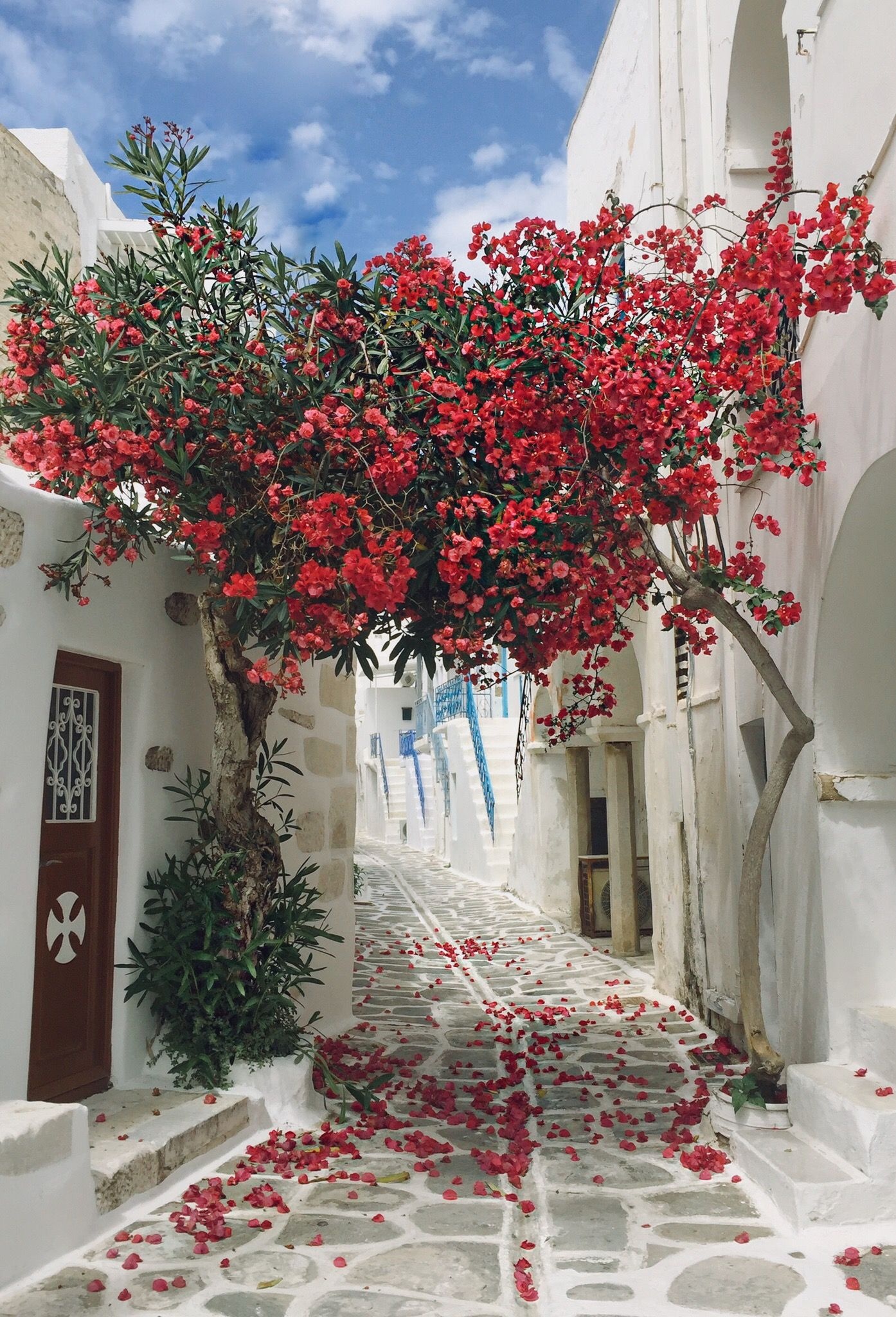 Beautiful alleyway on Paros: Greece landscape, Quaint streets, Charming corners, Serene beauty, 1400x2050 HD Phone