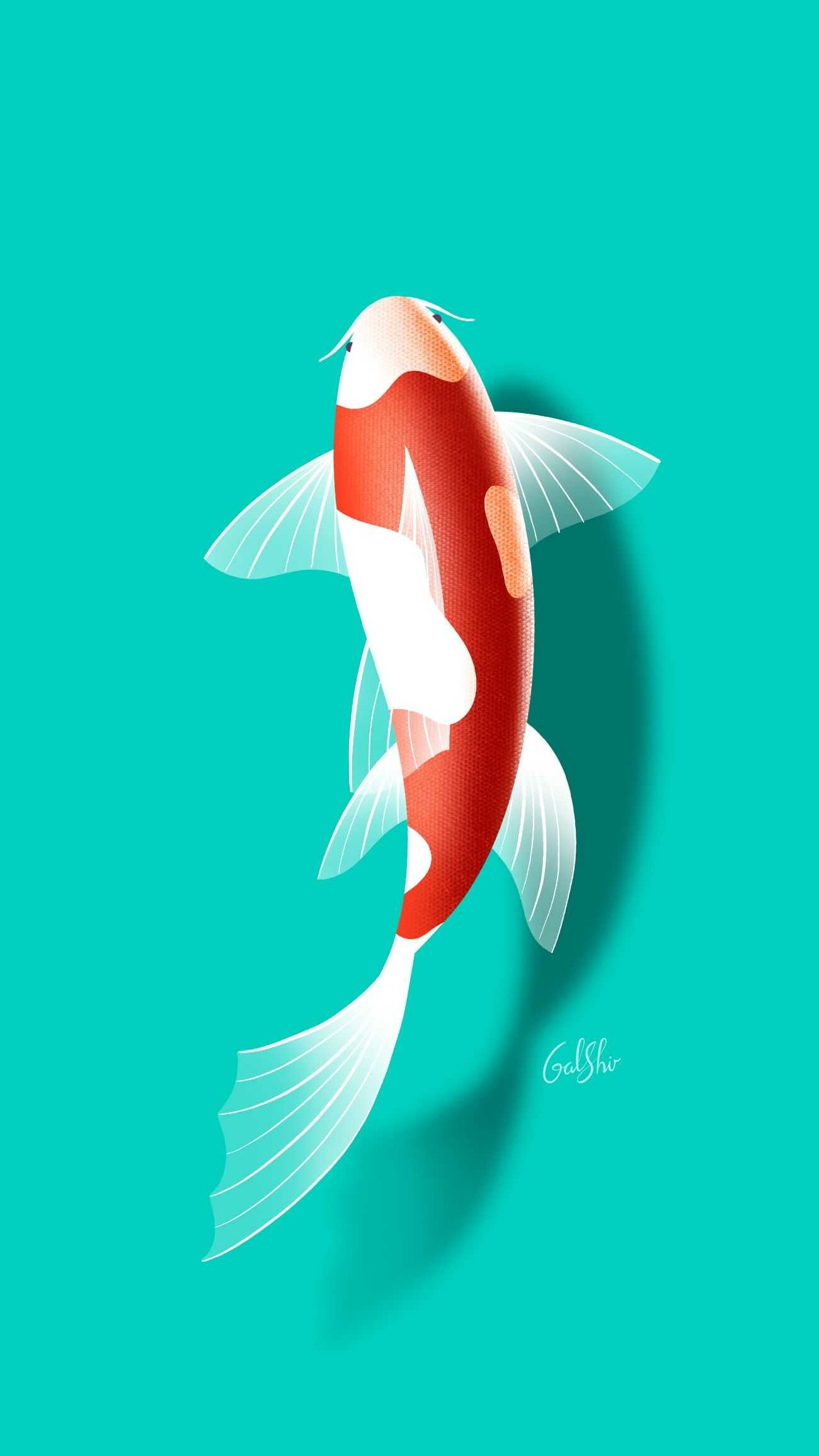 Fish: Koi, Colored varieties of the Amur carp, Cyprinus rubrofuscus. 1300x2320 HD Wallpaper.