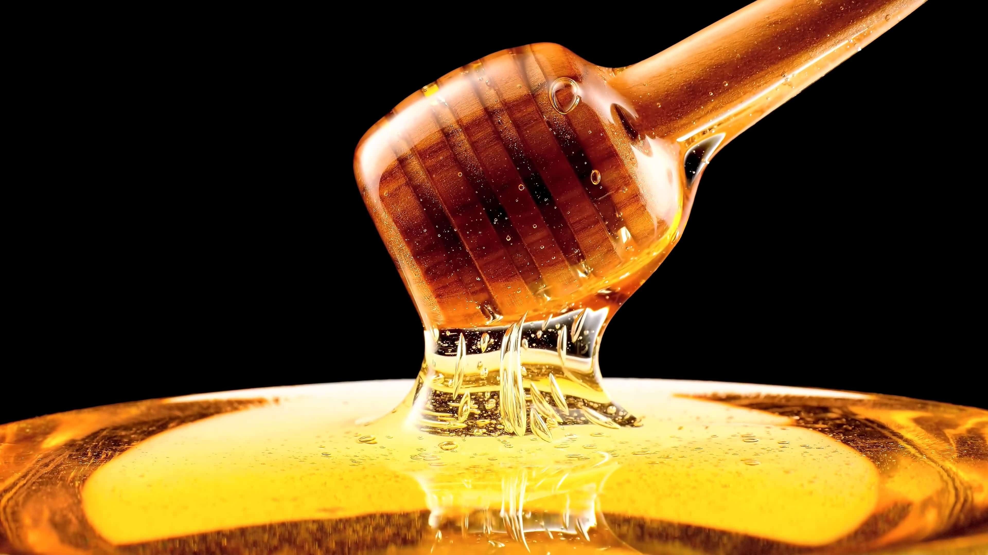 Honey: A sweet and viscous substance made by several bees. 3840x2160 4K Wallpaper.