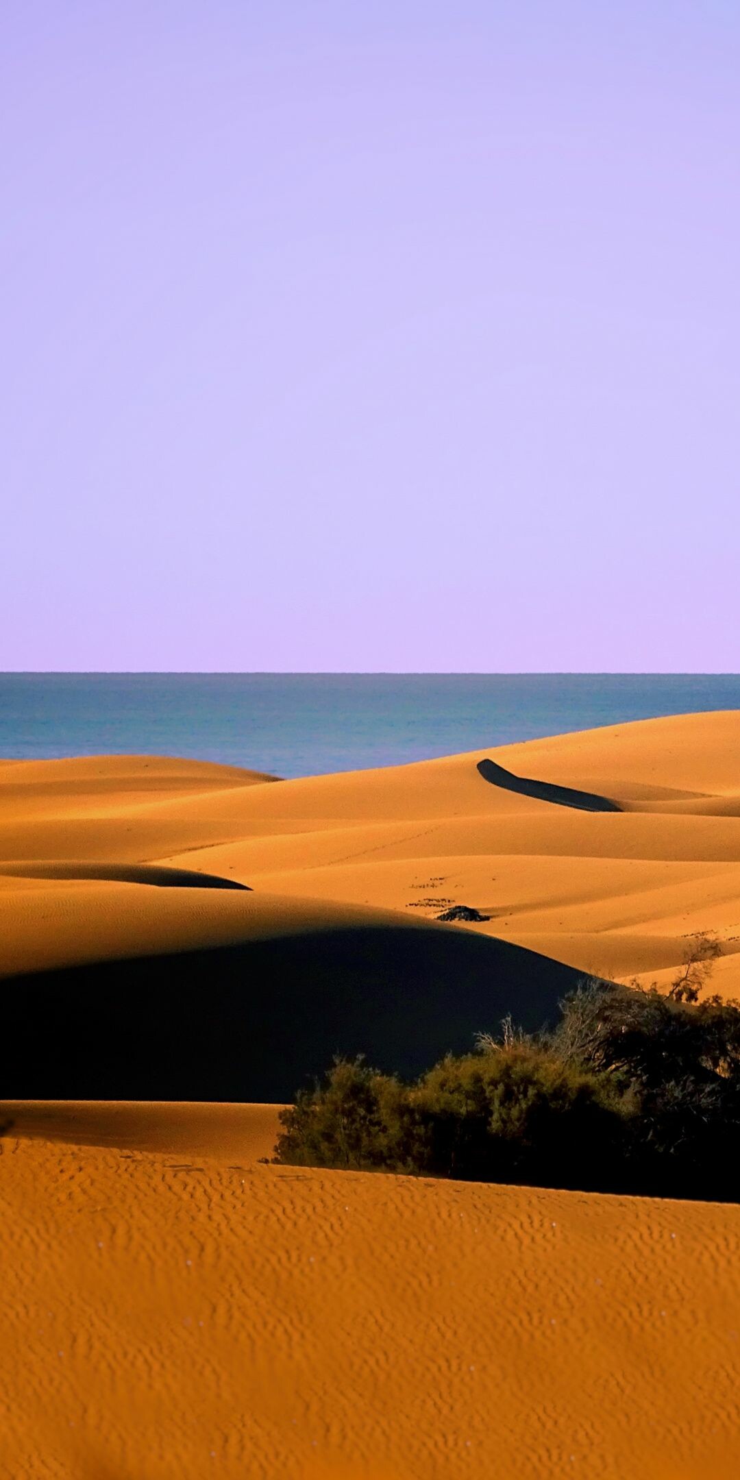 Desert: Dunes, Sand, Coast, Sea, Natural landscape. 1080x2160 HD Wallpaper.