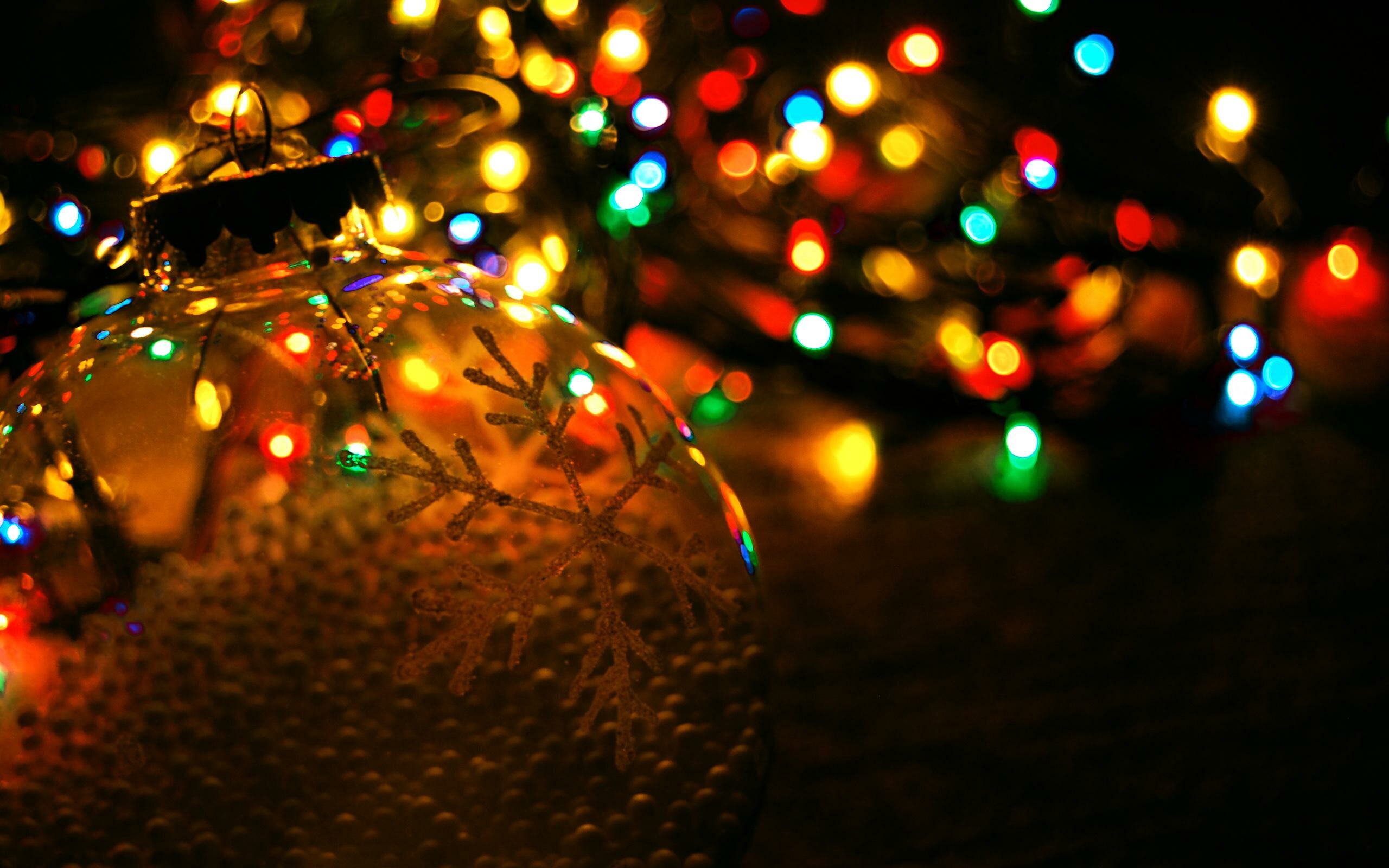 Fairy Lights: Small colored electric bulbs strung together and used for decoration. 2560x1600 HD Background.