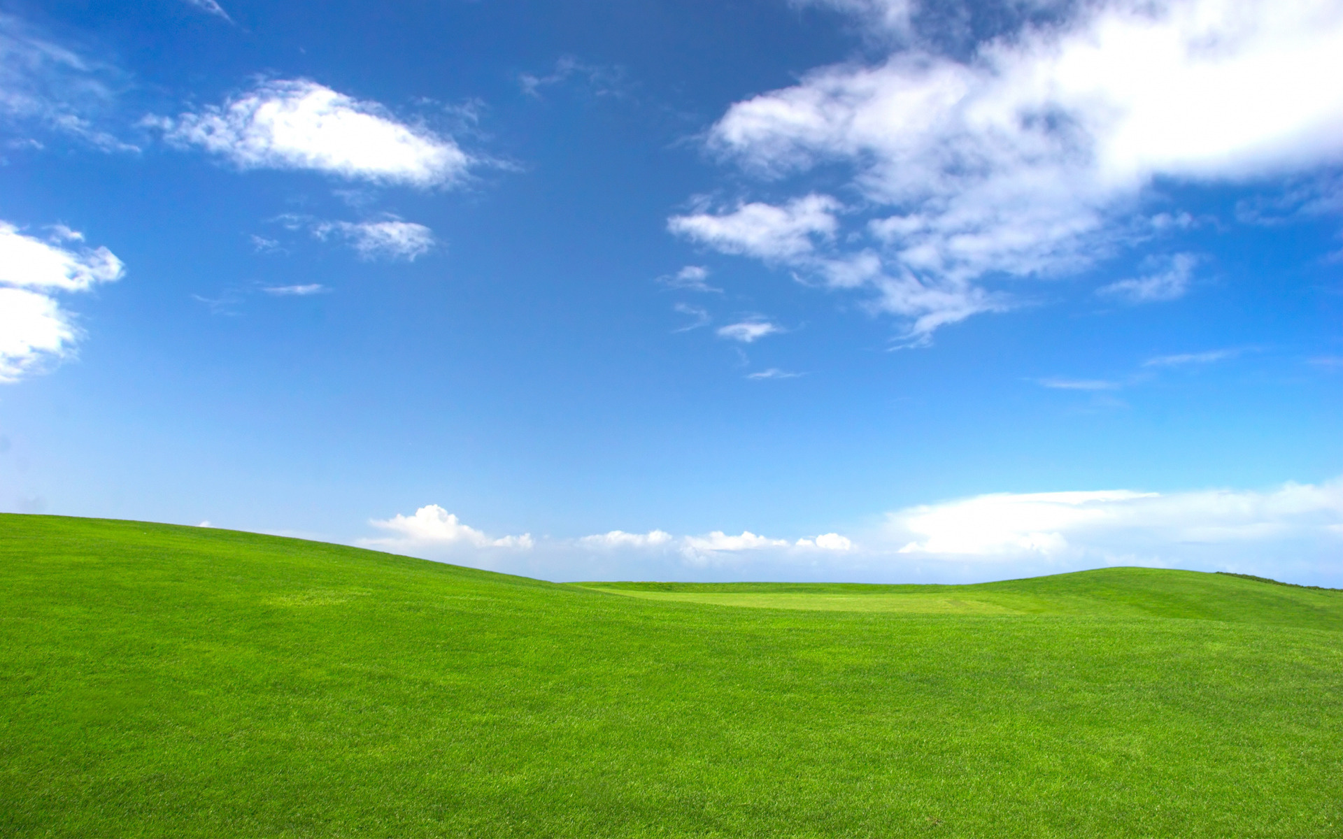 Grass and Sky: Lawn, Feeding herbage, Vegetation, Country park, Green carpet. 1920x1200 HD Wallpaper.