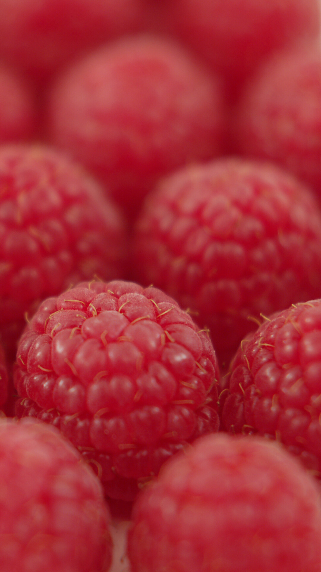 Fruit: Raspberry, A popular berry with a rich color and sweet juicy taste. 1080x1920 Full HD Wallpaper.