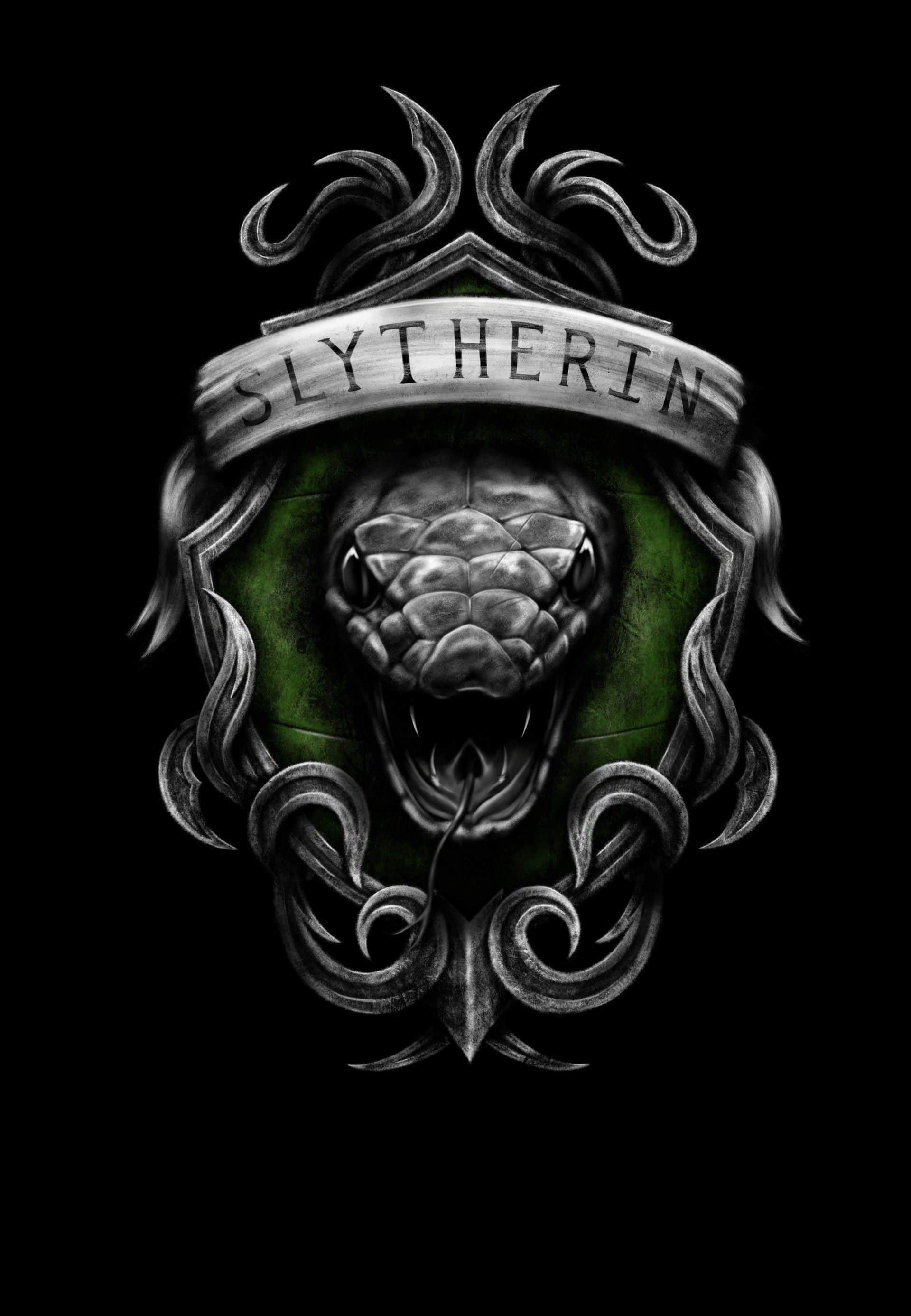 30 Slytherin mobile, Diverse options, Wallpaper variety, Mobile personalization, 1920x2780 HD Phone