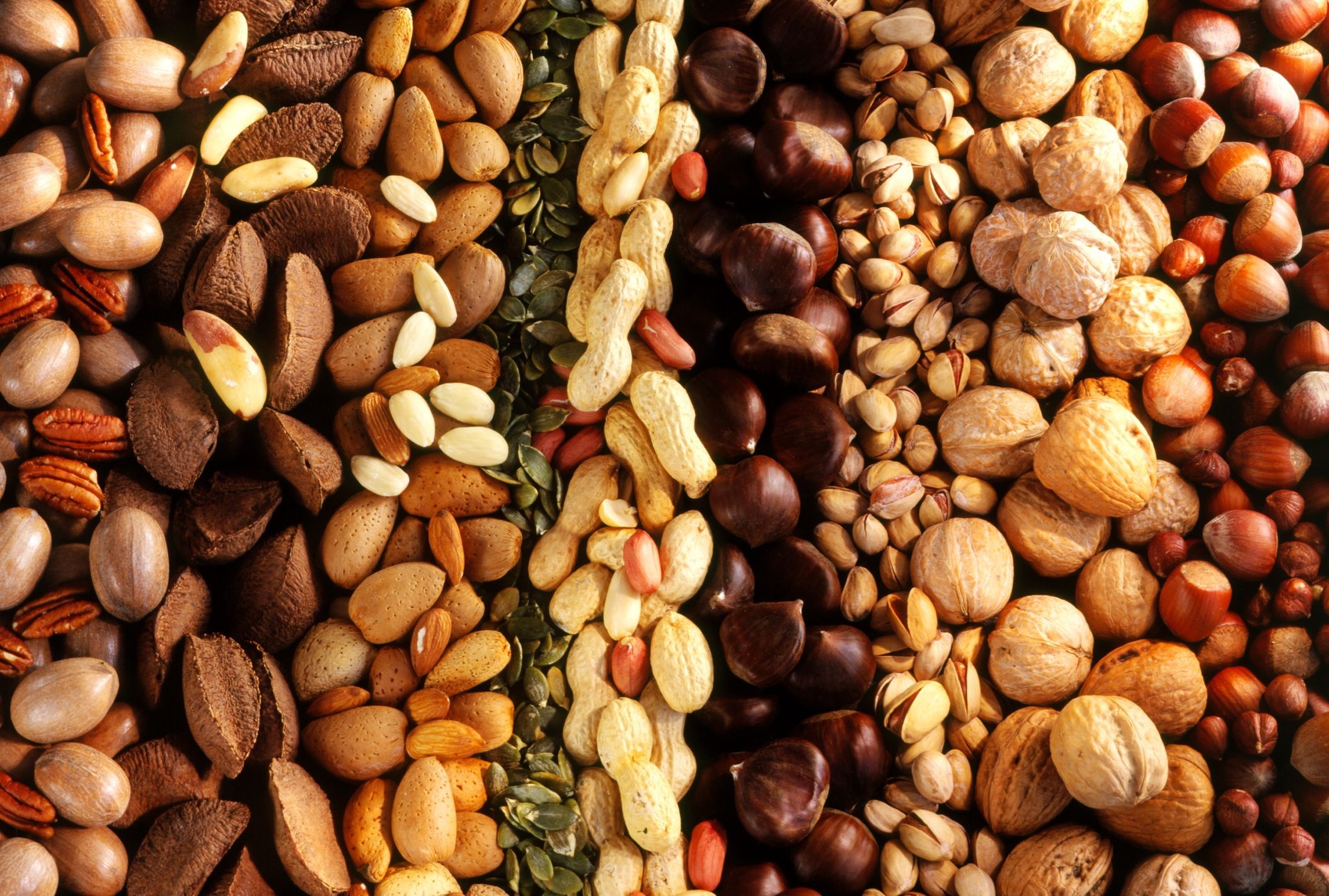 Nuts: Nutrient-dense, edible seed kernels encased in a hard shell. 2110x1430 HD Background.