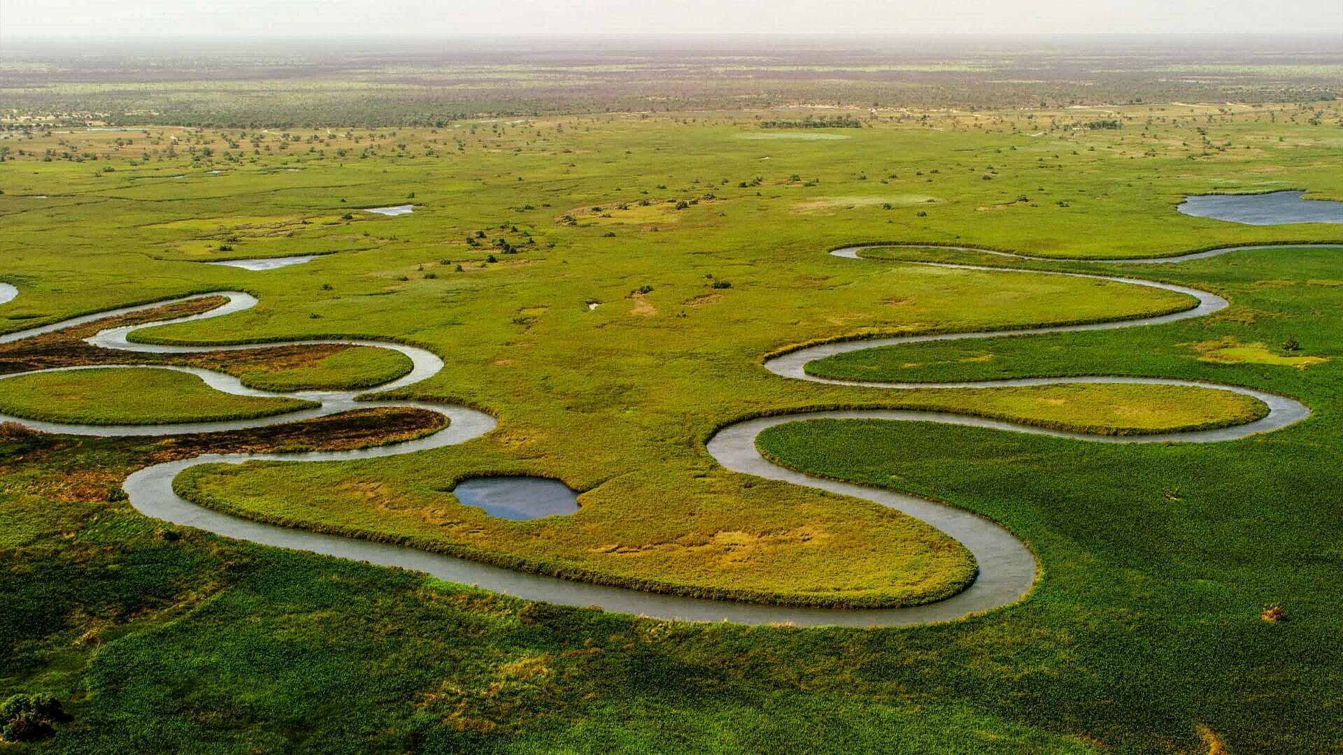 Okavango Delta, Botswana lions, Safari experience, Whizzed net, 1920x1080 Full HD Desktop