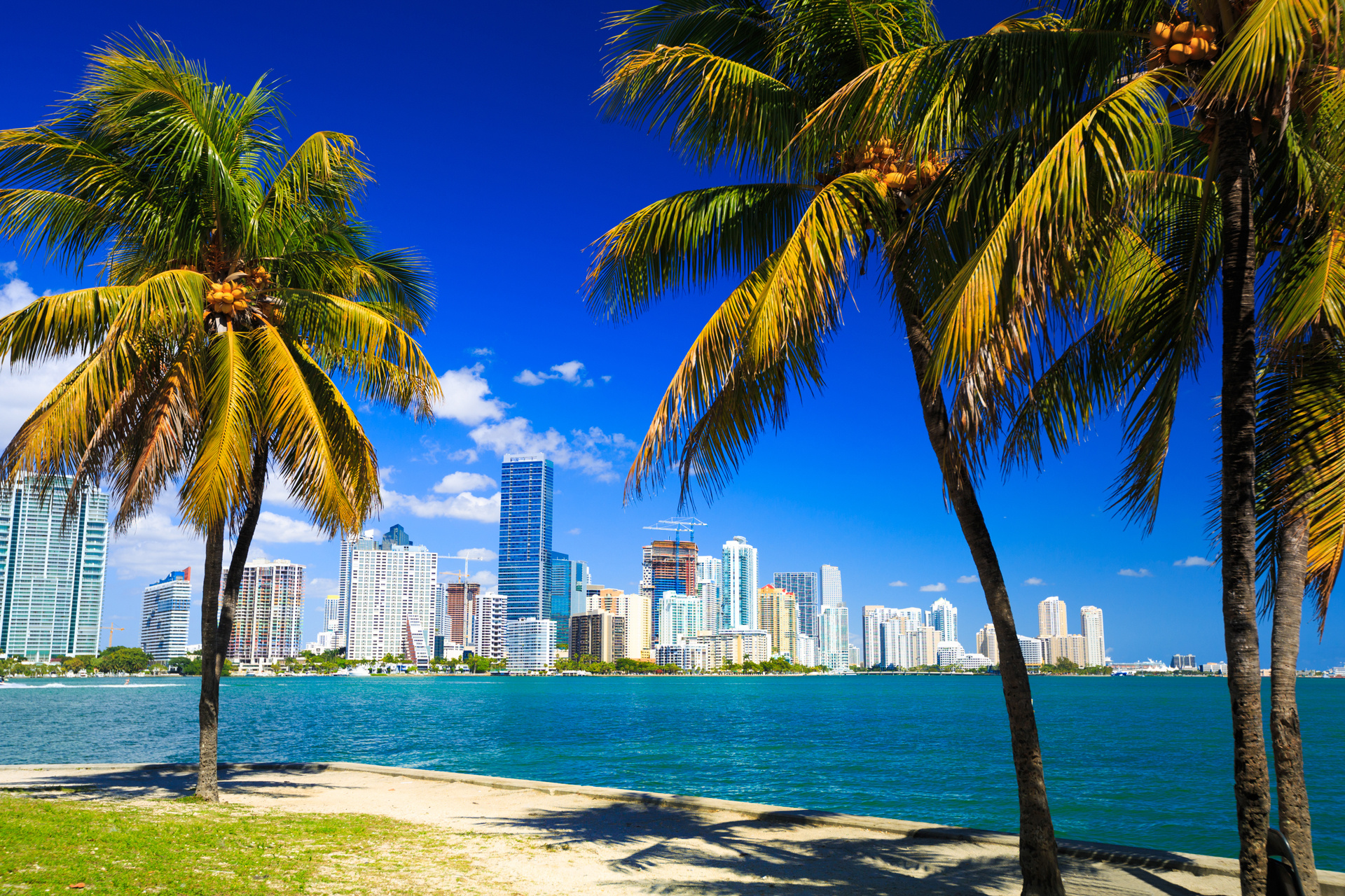 Miami Beach Skyline, Travels, Zero emission school buses, South Florida, 1920x1280 HD Desktop