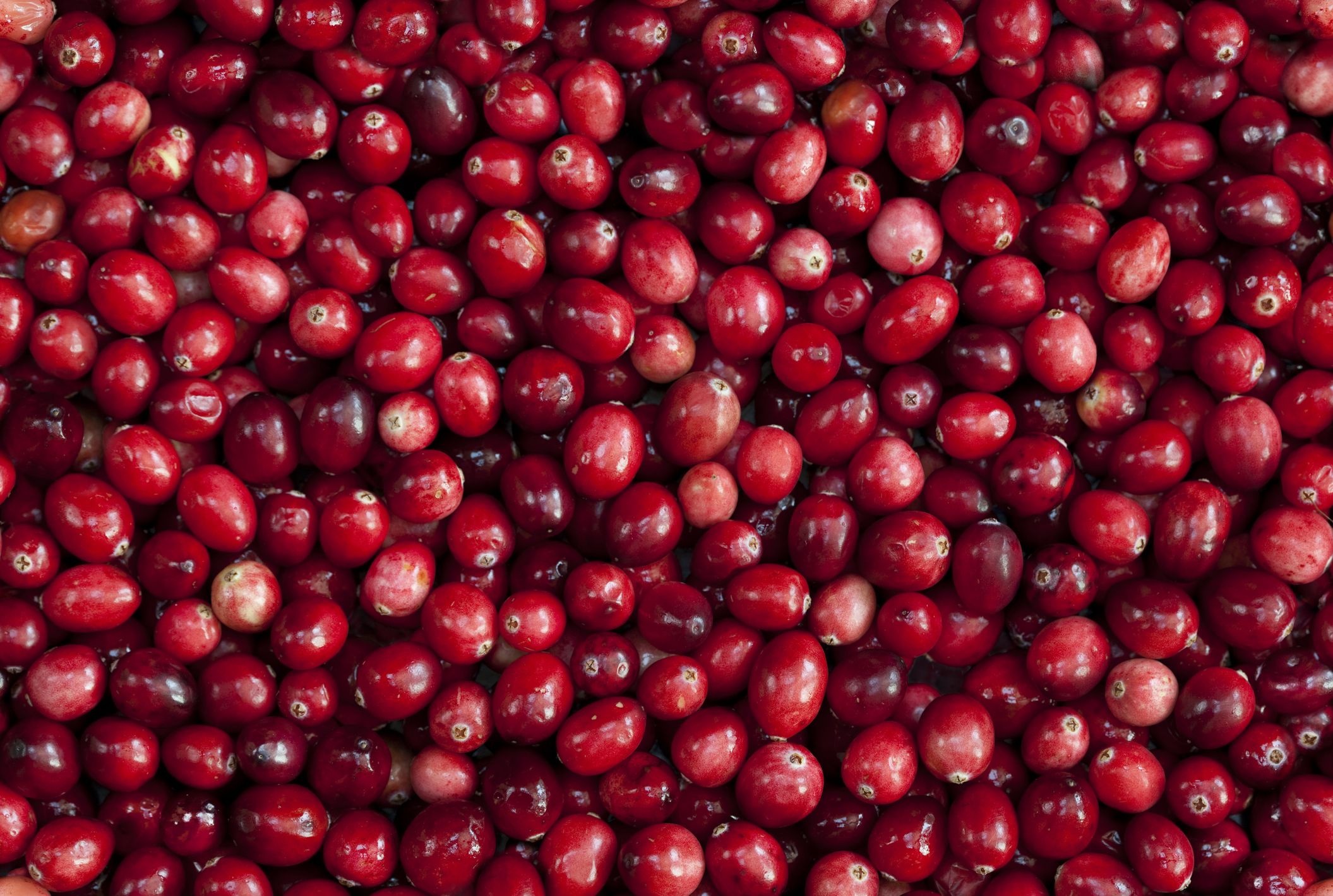 Health benefits of cranberries, Superfood powers, Nutritional goodness, Wellness boost, 2120x1420 HD Desktop