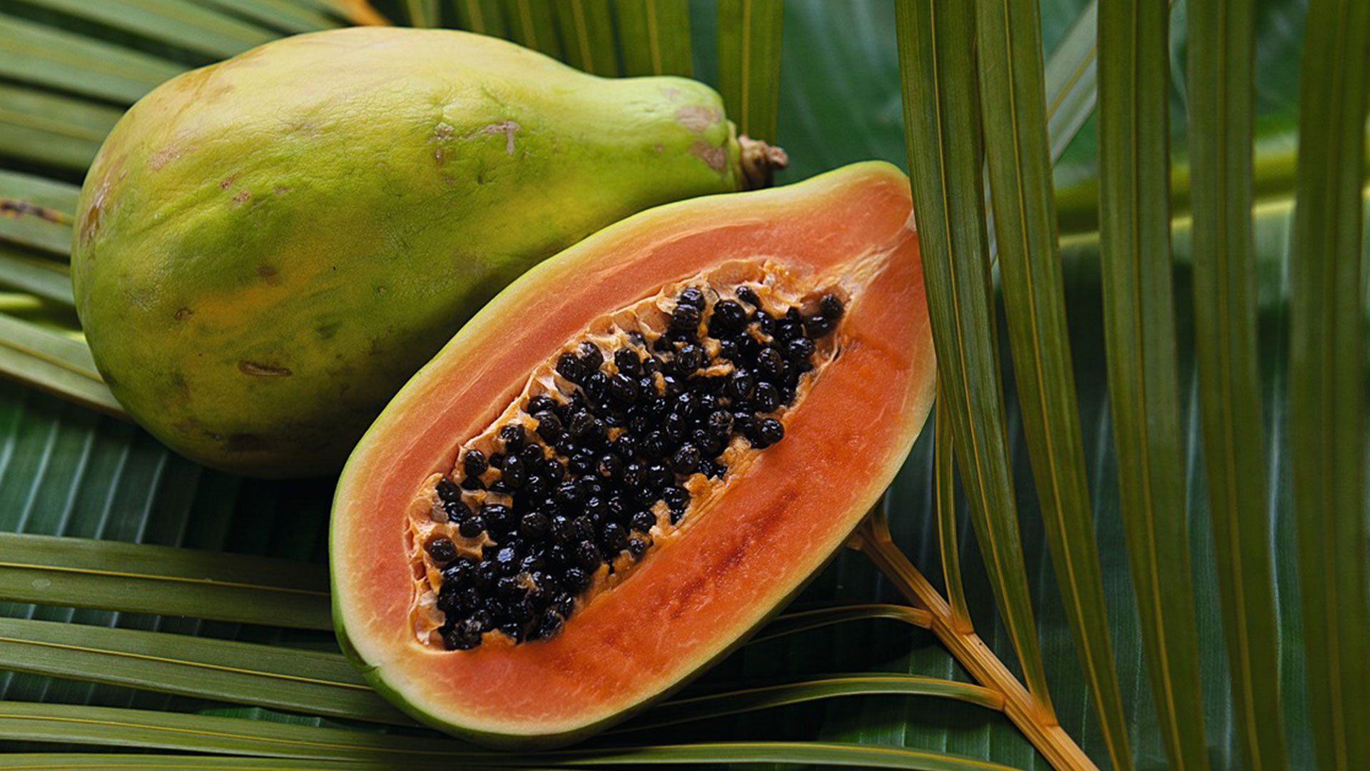 Papaya: Melon-like tropical fruit with an orange-colored sweet, soft flesh and edible seeds. 1920x1080 Full HD Wallpaper.
