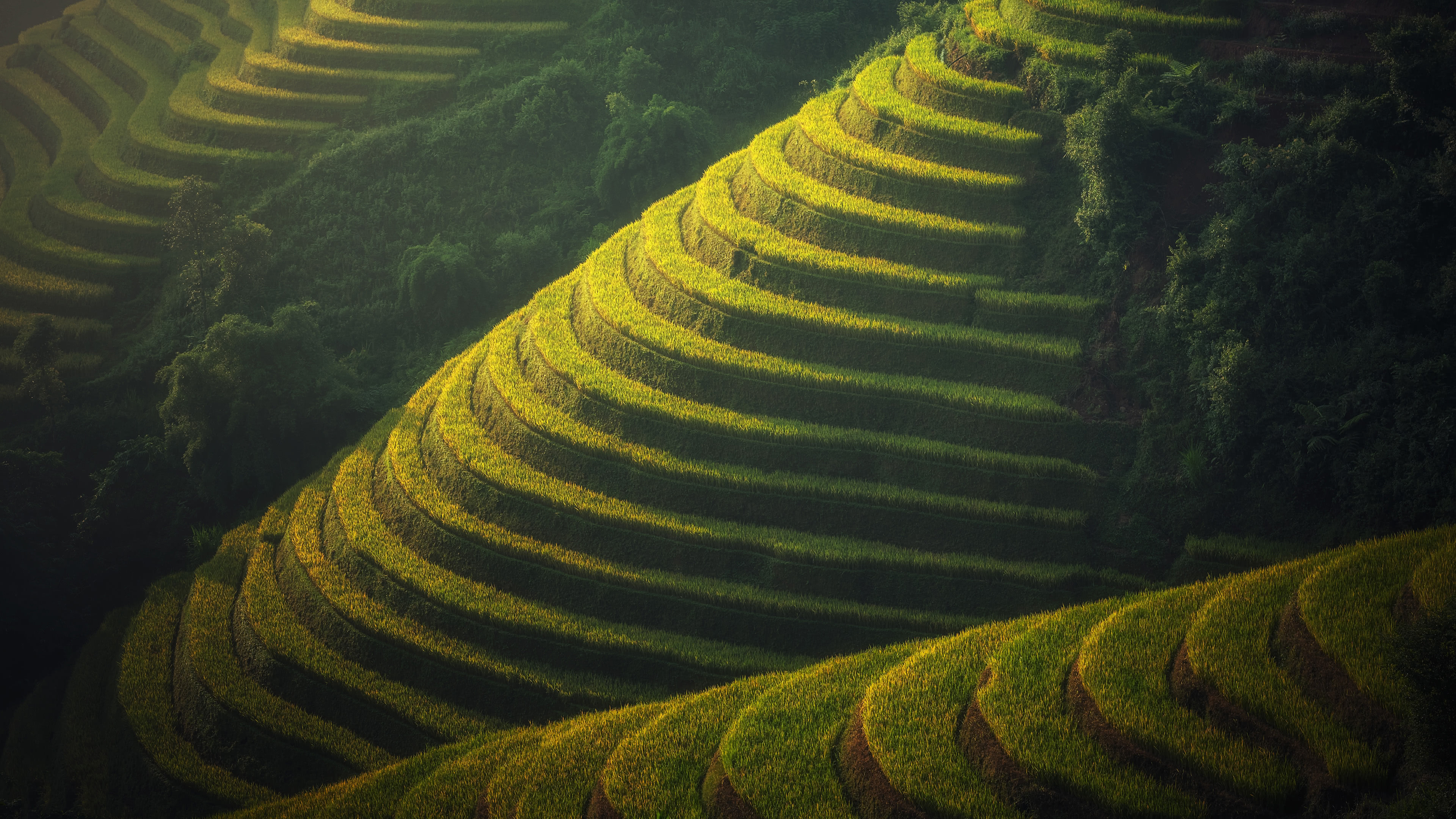 Breathtaking rice terraces, Stunning Bali, Lush landscapes, Vibrant wallpaper, 3840x2160 4K Desktop