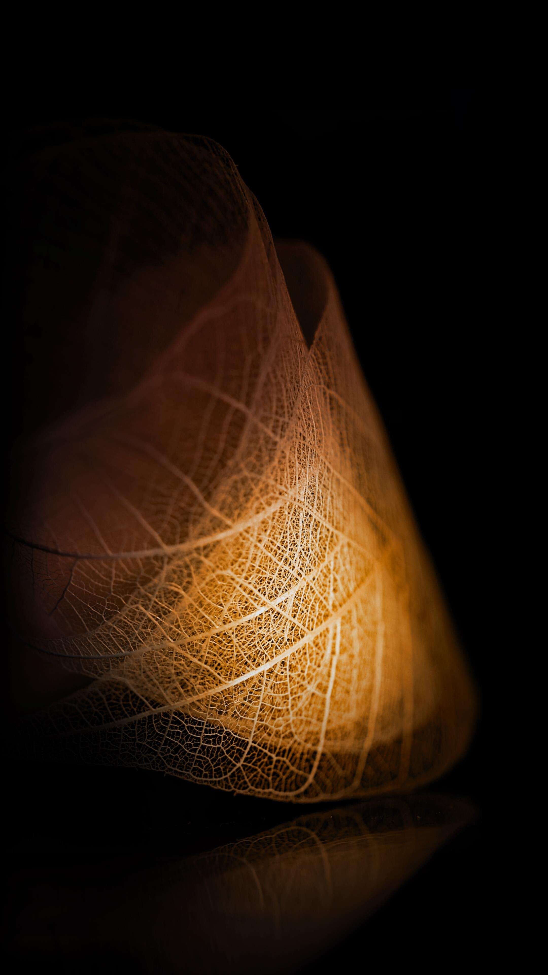 Gold Leaf: Dried transparent foliage, Skeleton autumn leaves, Tints and shades. 2160x3840 4K Wallpaper.