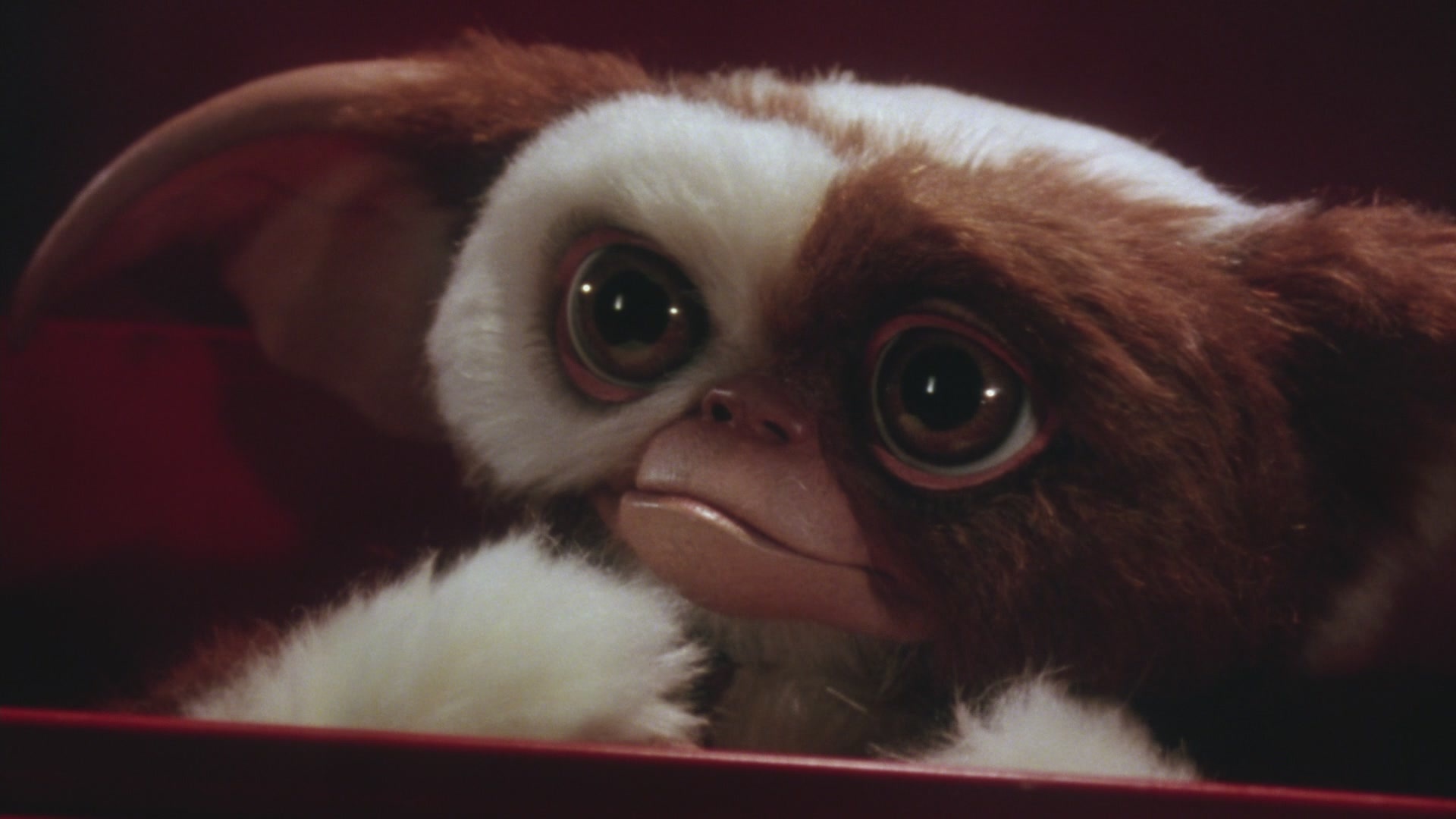Gremlin Gizmo: The center of large merchandising campaigns and opts for black comedy, An American film. 1920x1080 Full HD Wallpaper.