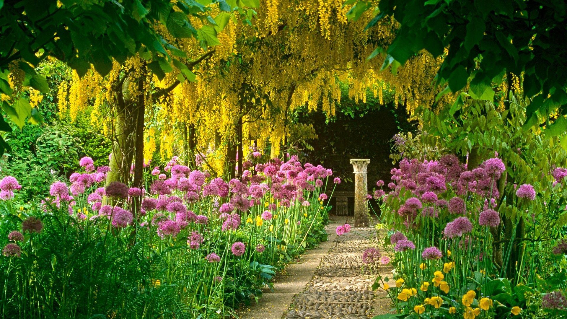 Garden wallpapers, Nature's art, Colorful blooms, Tranquil scenes, 1920x1080 Full HD Desktop