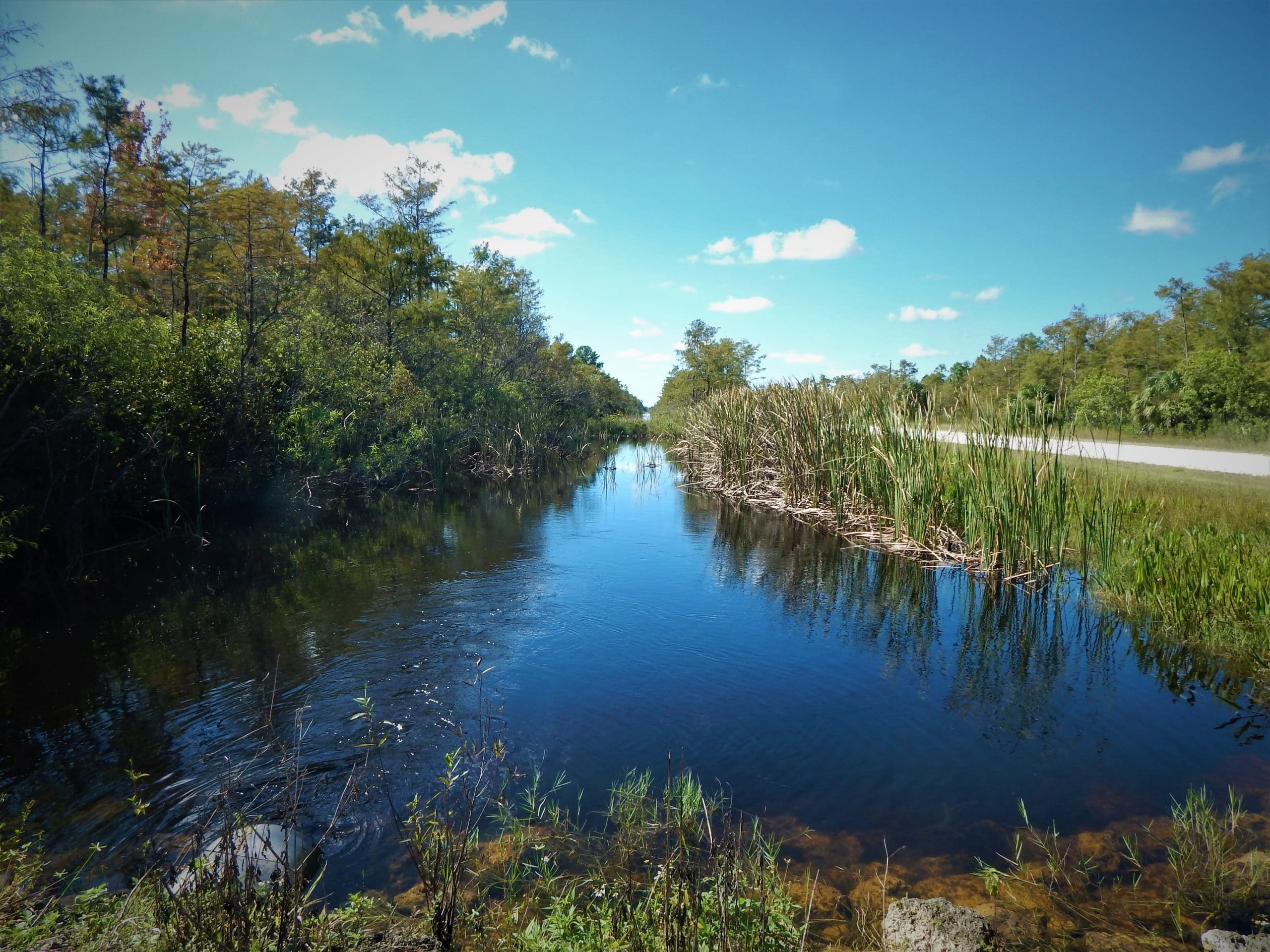 Everglades National Park, Memorable day trip, Nature exploration, Florida's gem, 2560x1920 HD Desktop