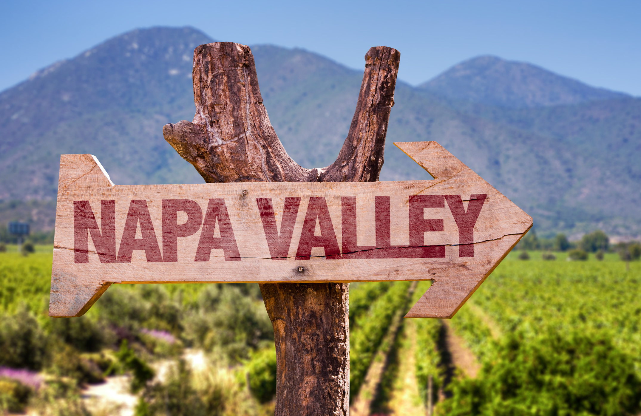 Wineries in Napa, Wine tasting experience, Wine enthusiasts, Vineyard views, 2150x1400 HD Desktop