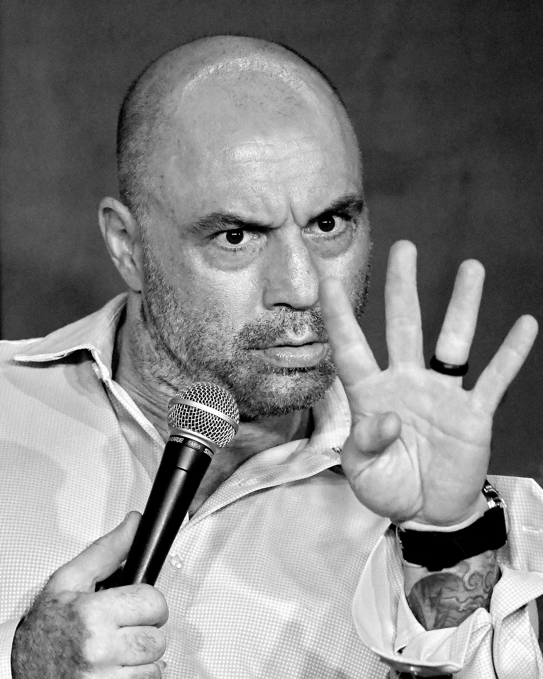 Joe Rogan: Was a Massachusetts full-contact state champion for four consecutive years. 1800x2250 HD Wallpaper.