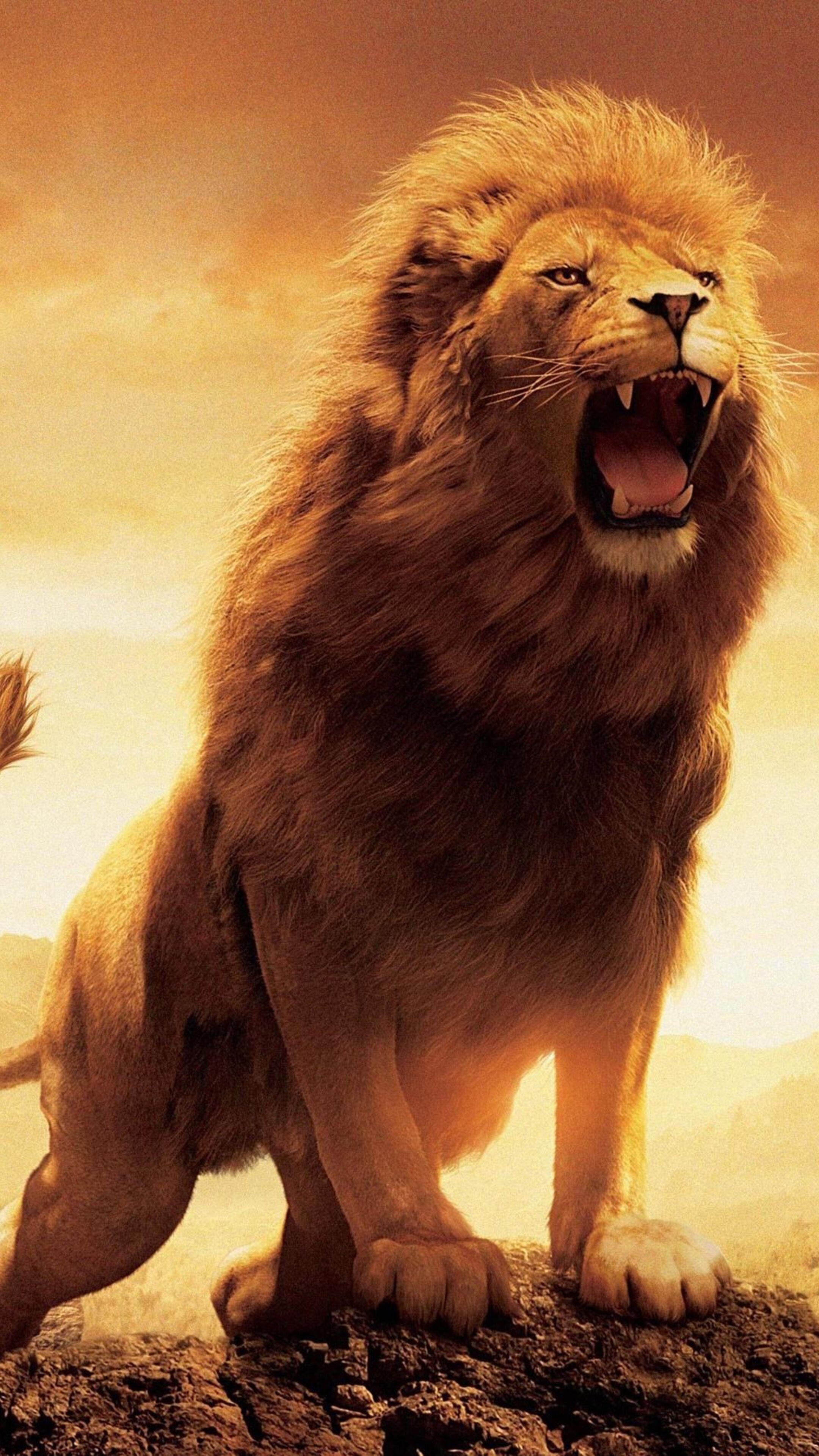 Narnia lion, Sony Xperia, HD 4K wallpapers, 2160x3840 4K Phone