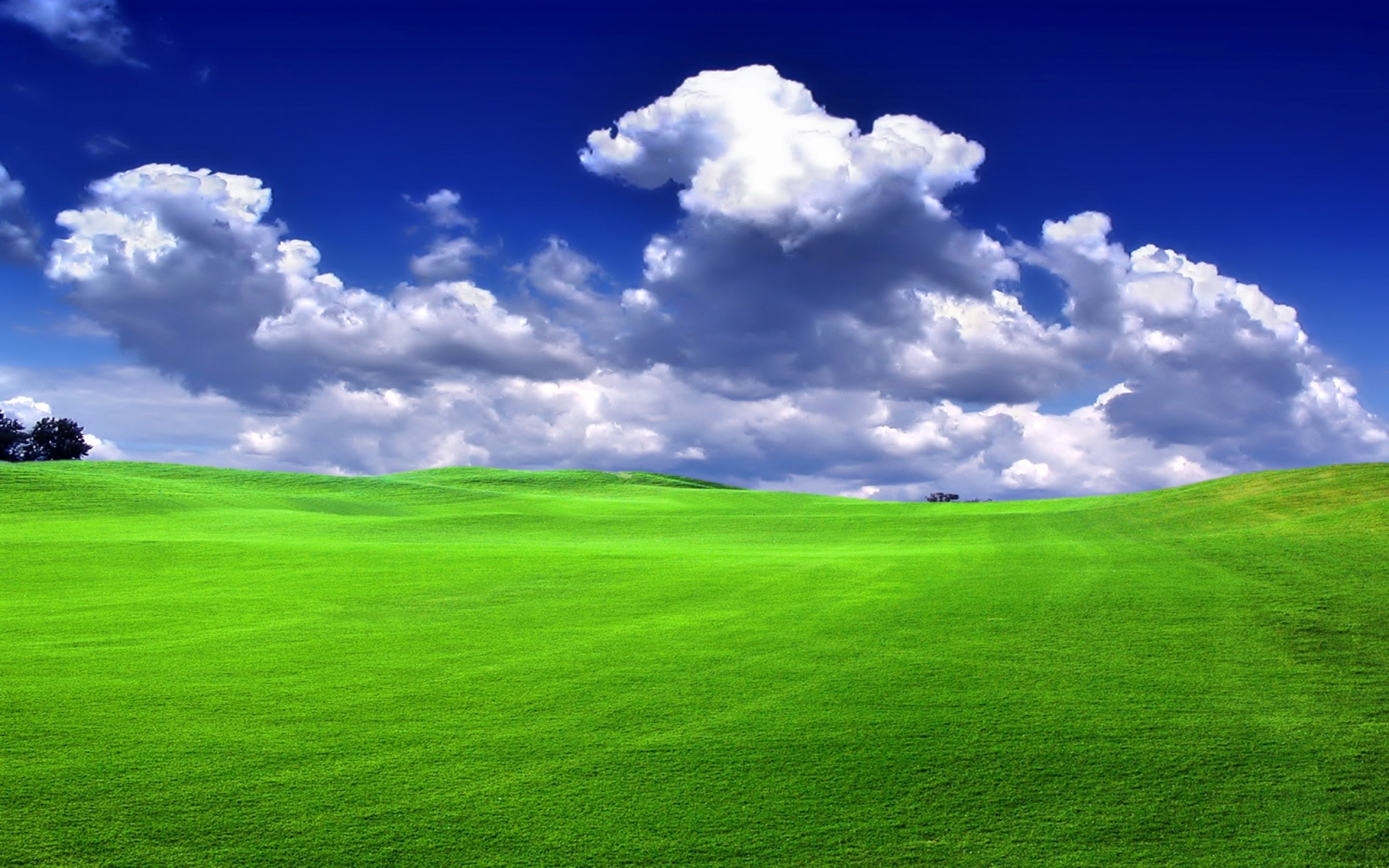Grass and Sky: Green nature and landscape, Wide open space, Green territories, Blue skies. 2880x1800 HD Background.