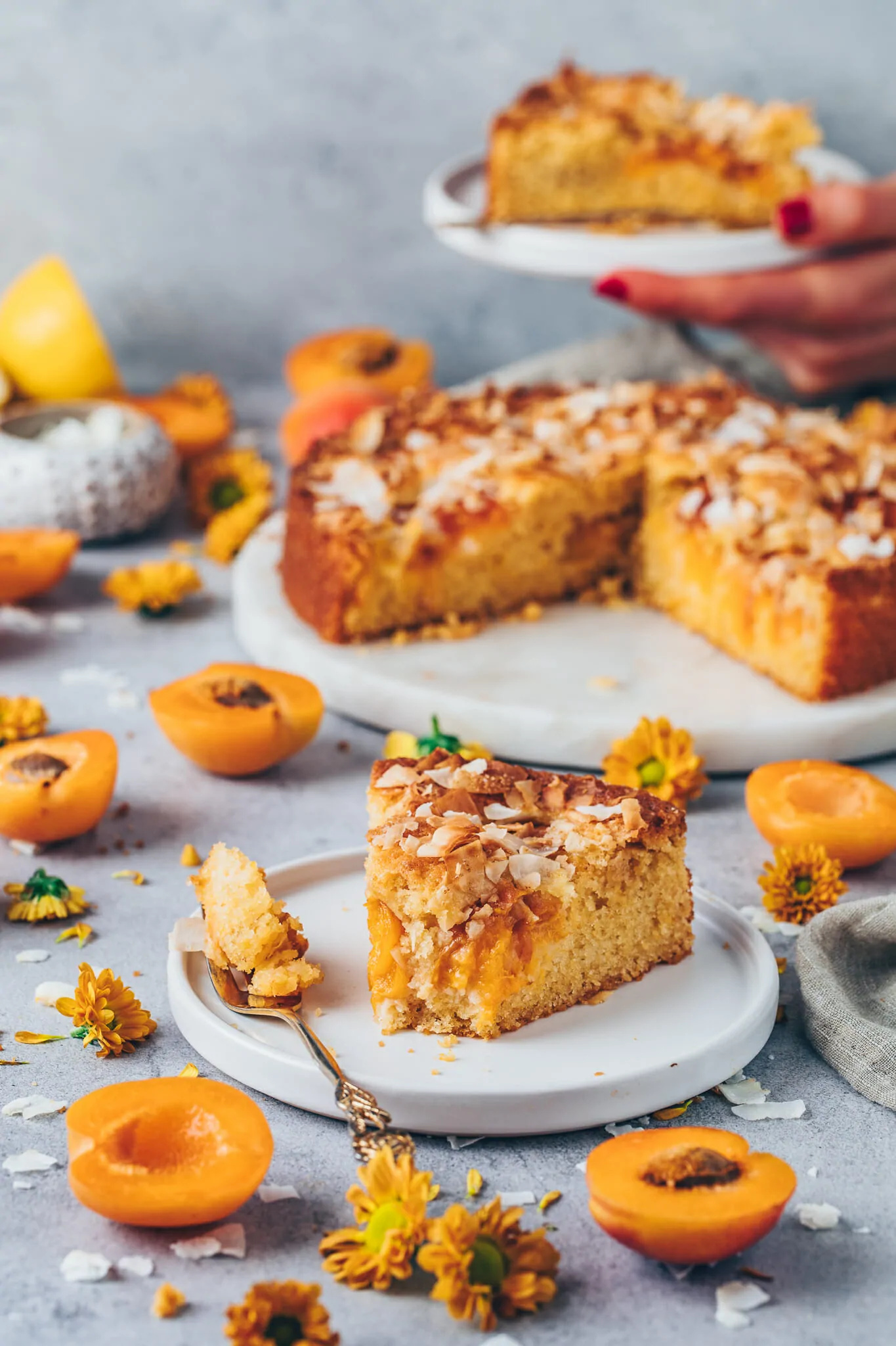 Apricot cake with coconut, Vegan dessert delight, Irresistible sweetness, Simple recipe, 1370x2050 HD Phone
