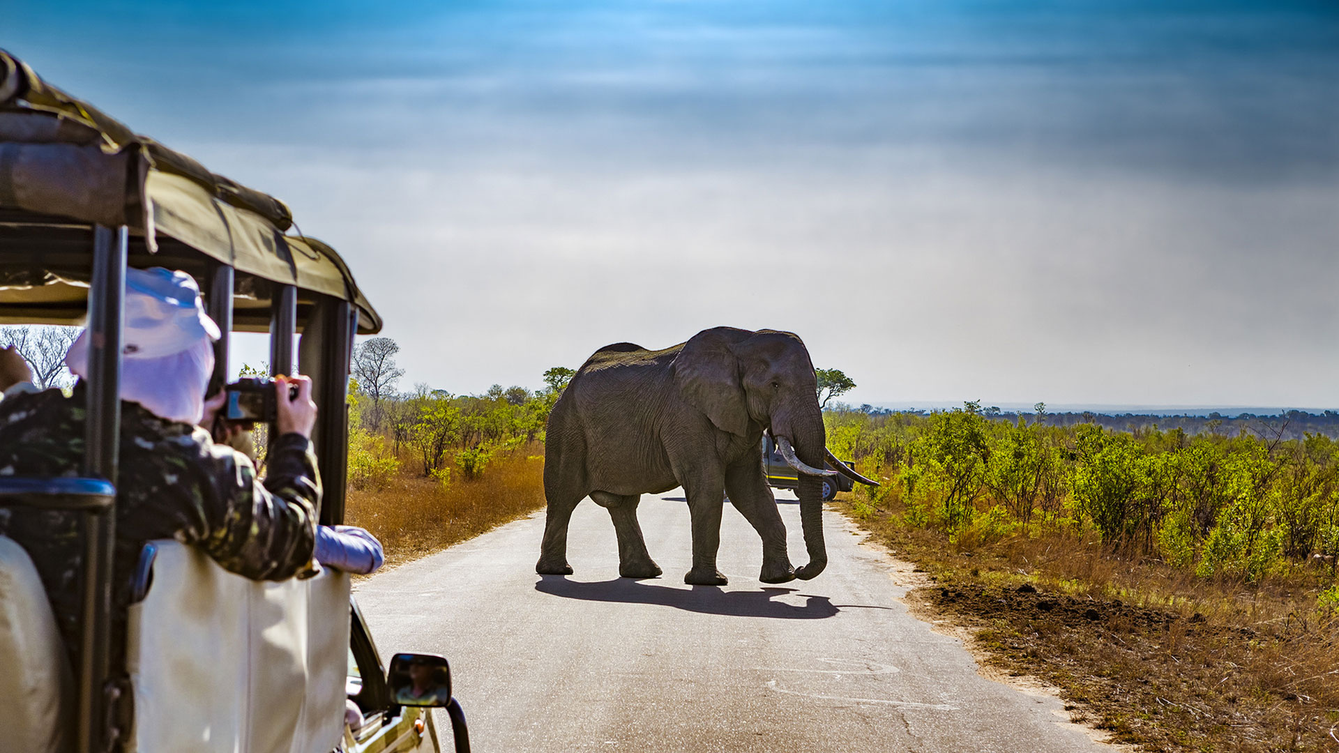 Kruger National Park, Travel tips, Insider's guide, African adventure, 1920x1080 Full HD Desktop