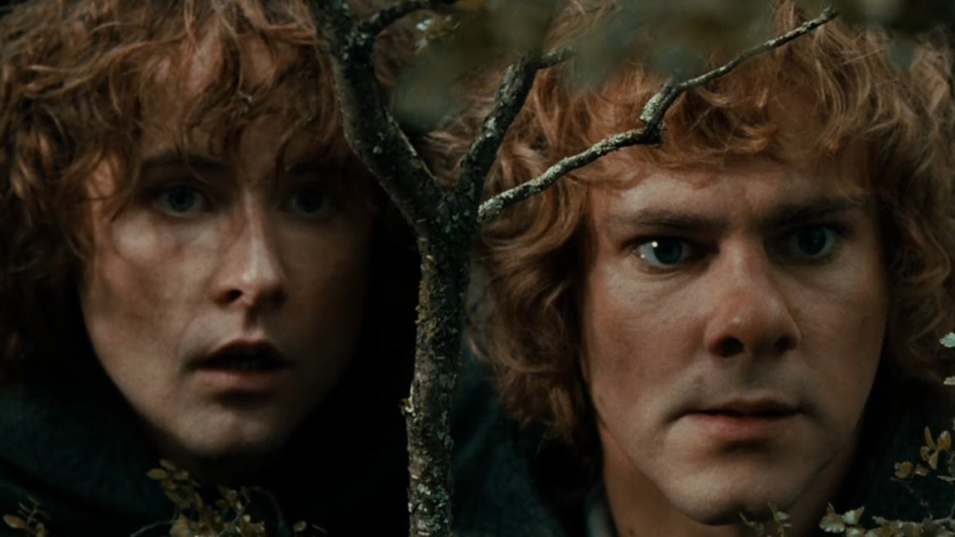 Merry and Pippin podcast, Hobbit life, 1920x1080 Full HD Desktop