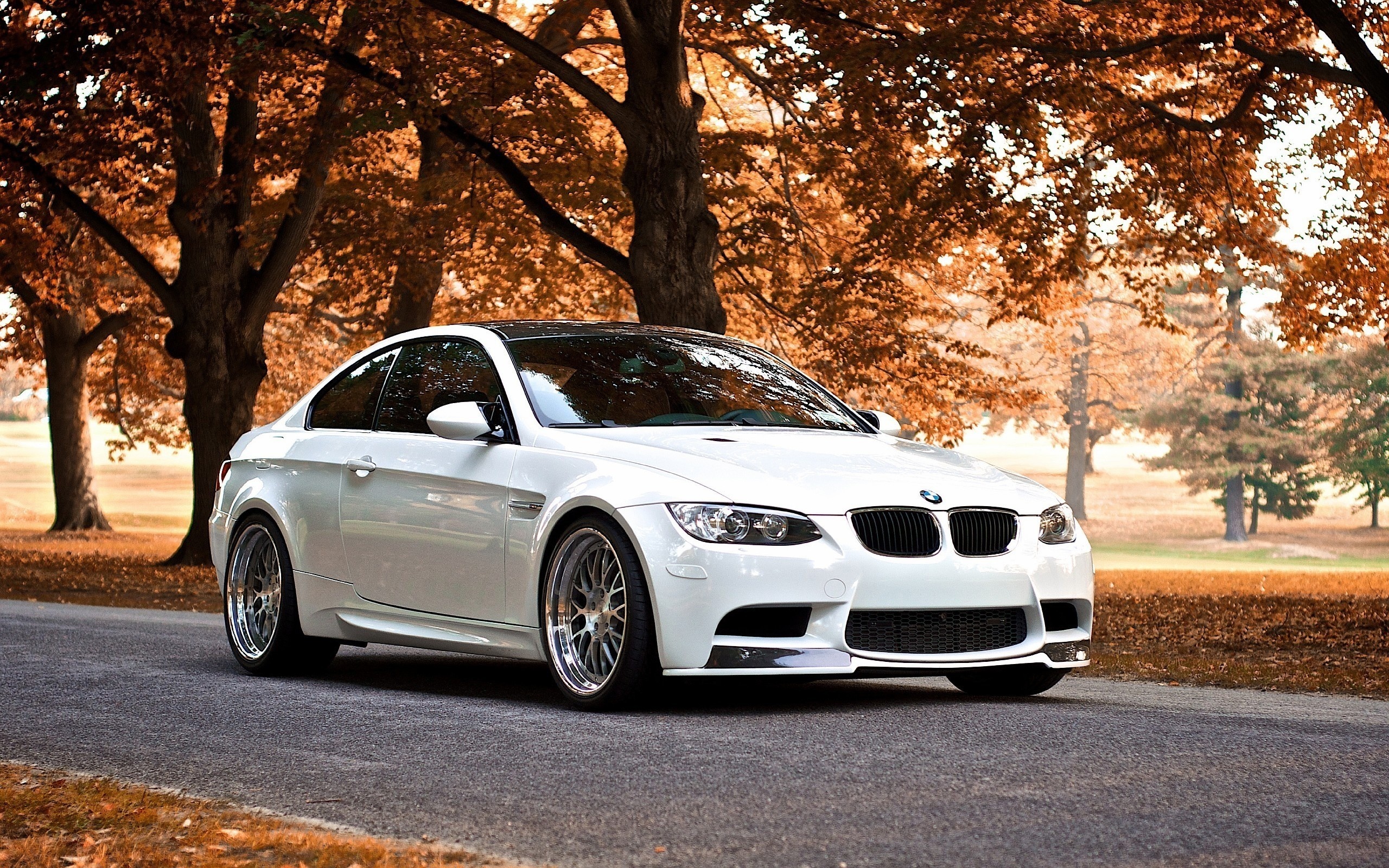 BMW M3, HD wallpapers and backgrounds, Captivating visuals, Automotive excellence, 2560x1600 HD Desktop