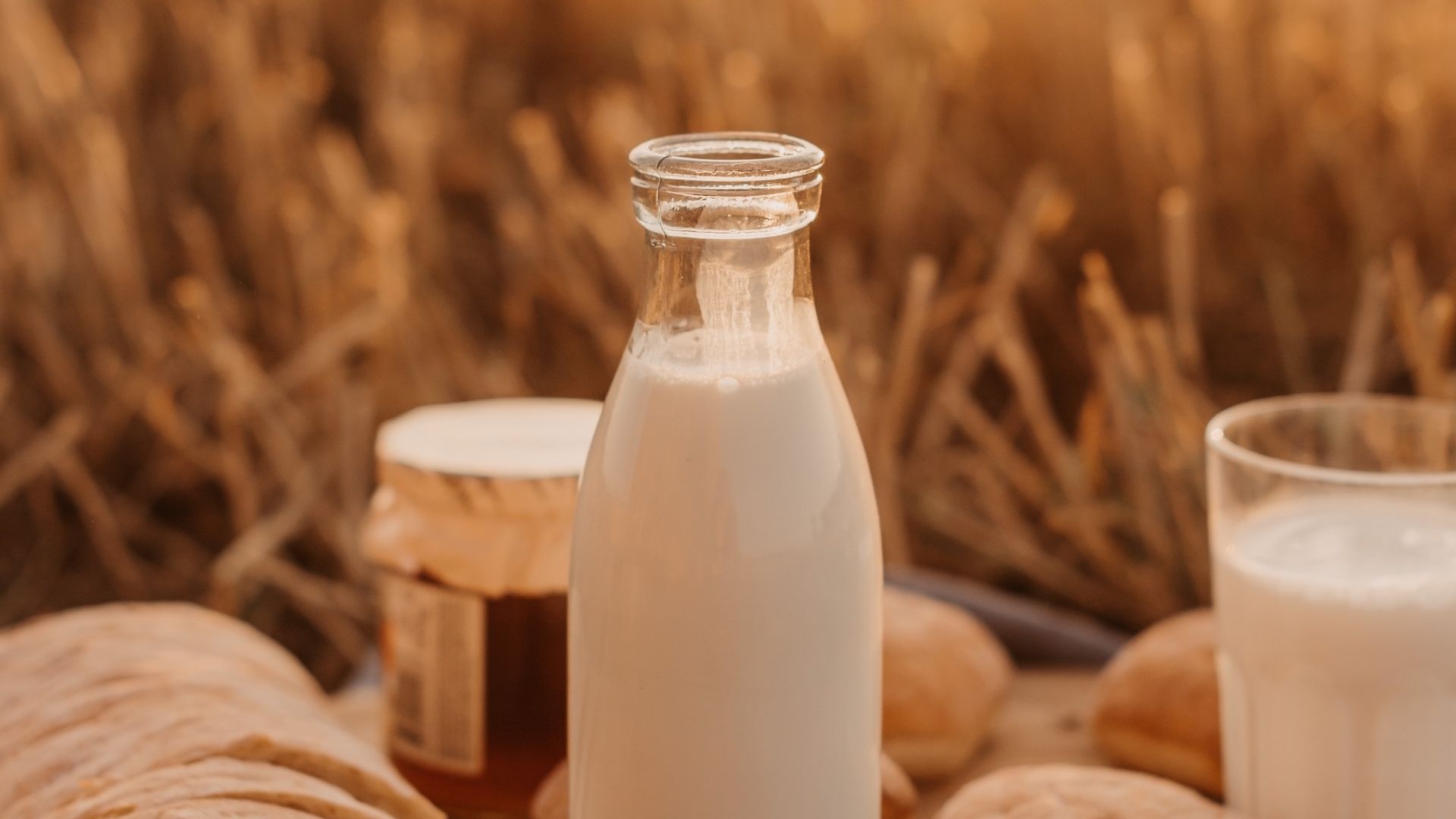 Milk: Dairy farming, Fermented to produce yogurt, kefir, or buttermilk. 1920x1080 Full HD Wallpaper.