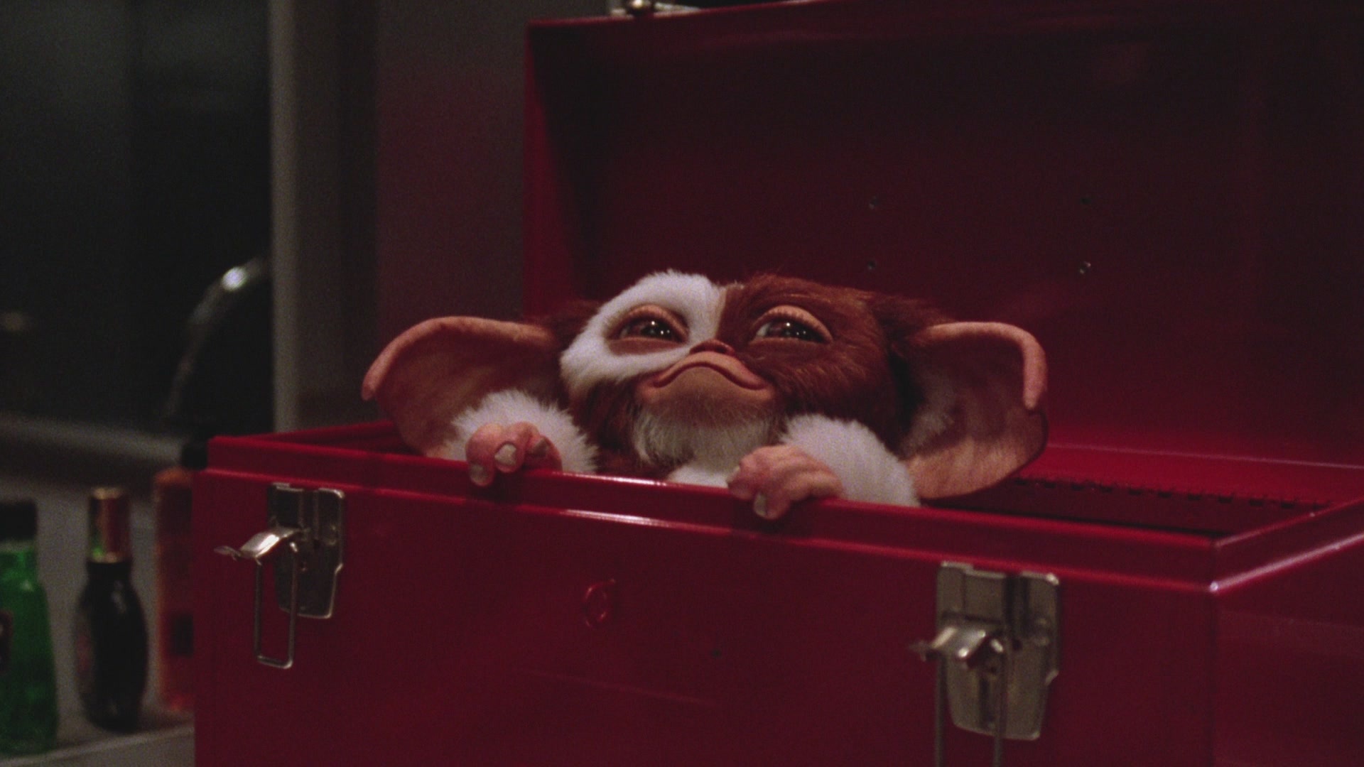 Gremlin Gizmo: Gremlins, A 1984 American black comedy horror film directed by Joe Dante and written by Chris Columbus. 1920x1080 Full HD Background.