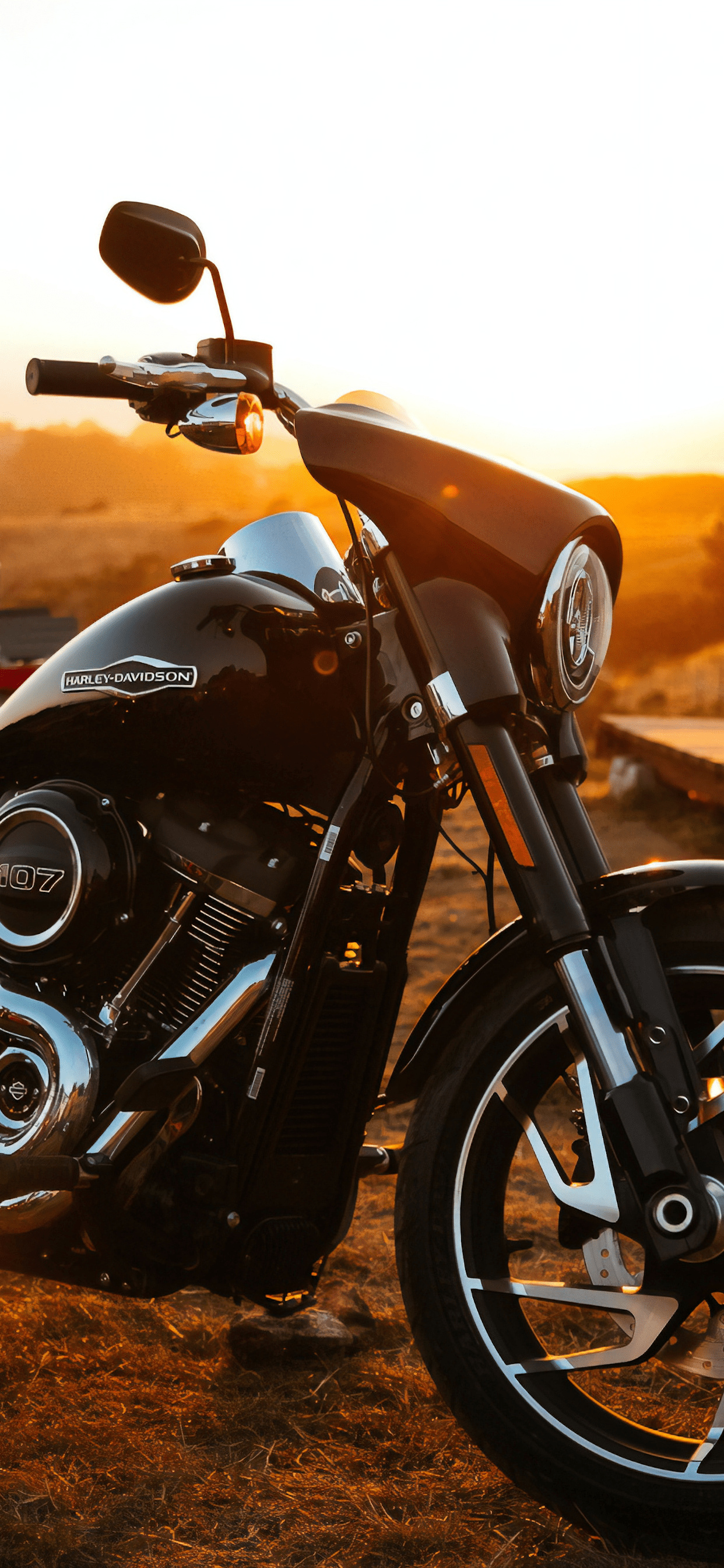 Harley-Davidson bikes, Motorcycle wallpapers, 1250x2690 HD Handy