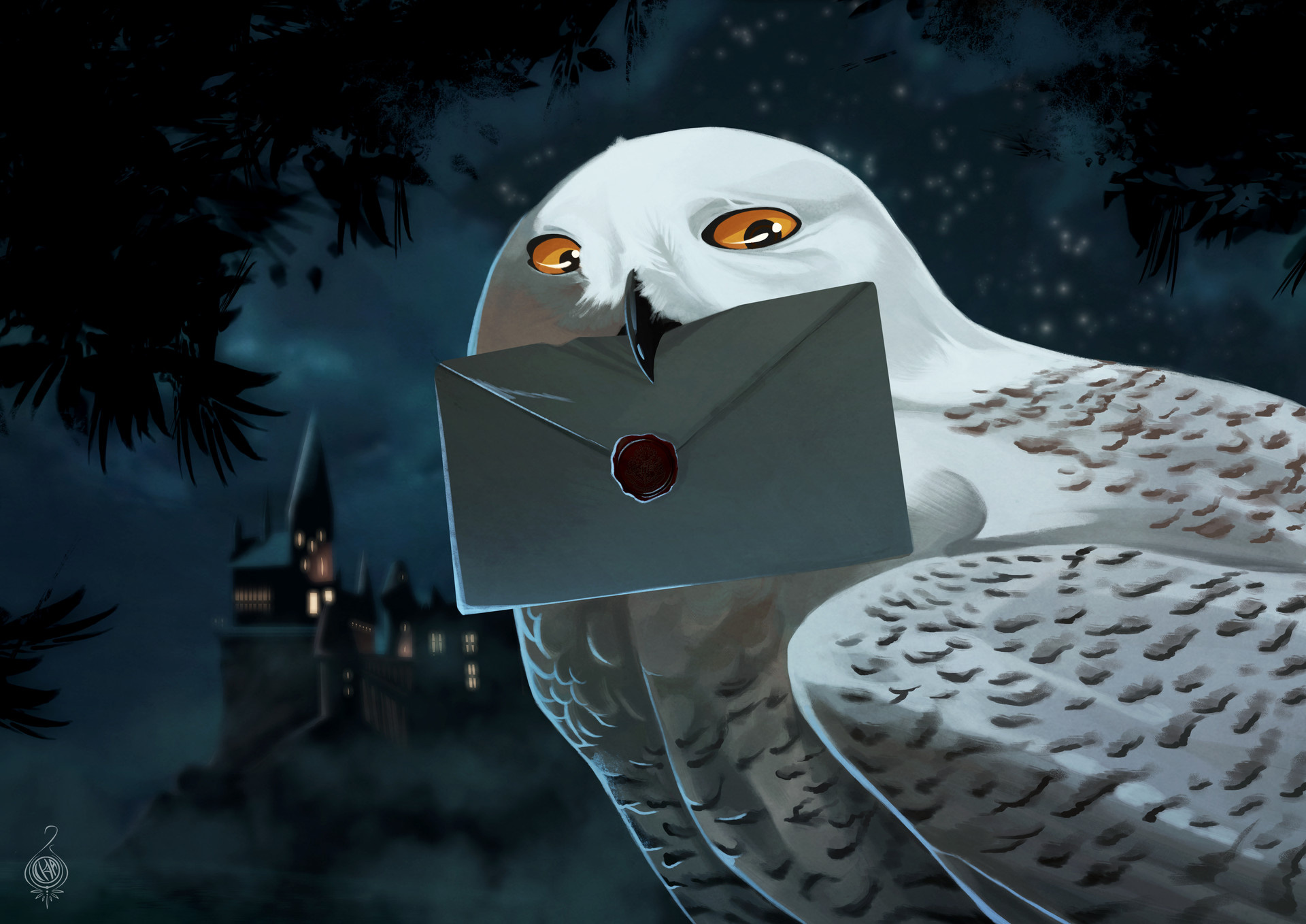 Hedwig: A trained owl who can deliver messages for Harry Potter. 1920x1360 HD Background.