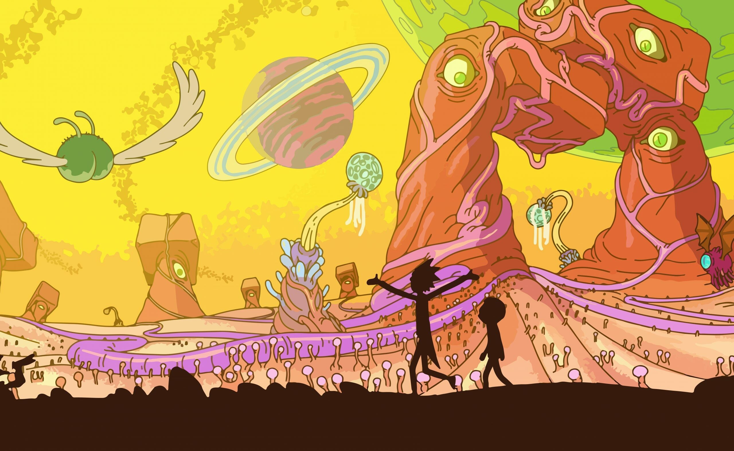 Rick and Morty: The show's first season consists of 11 twenty-two minute episodes. 2560x1580 HD Wallpaper.