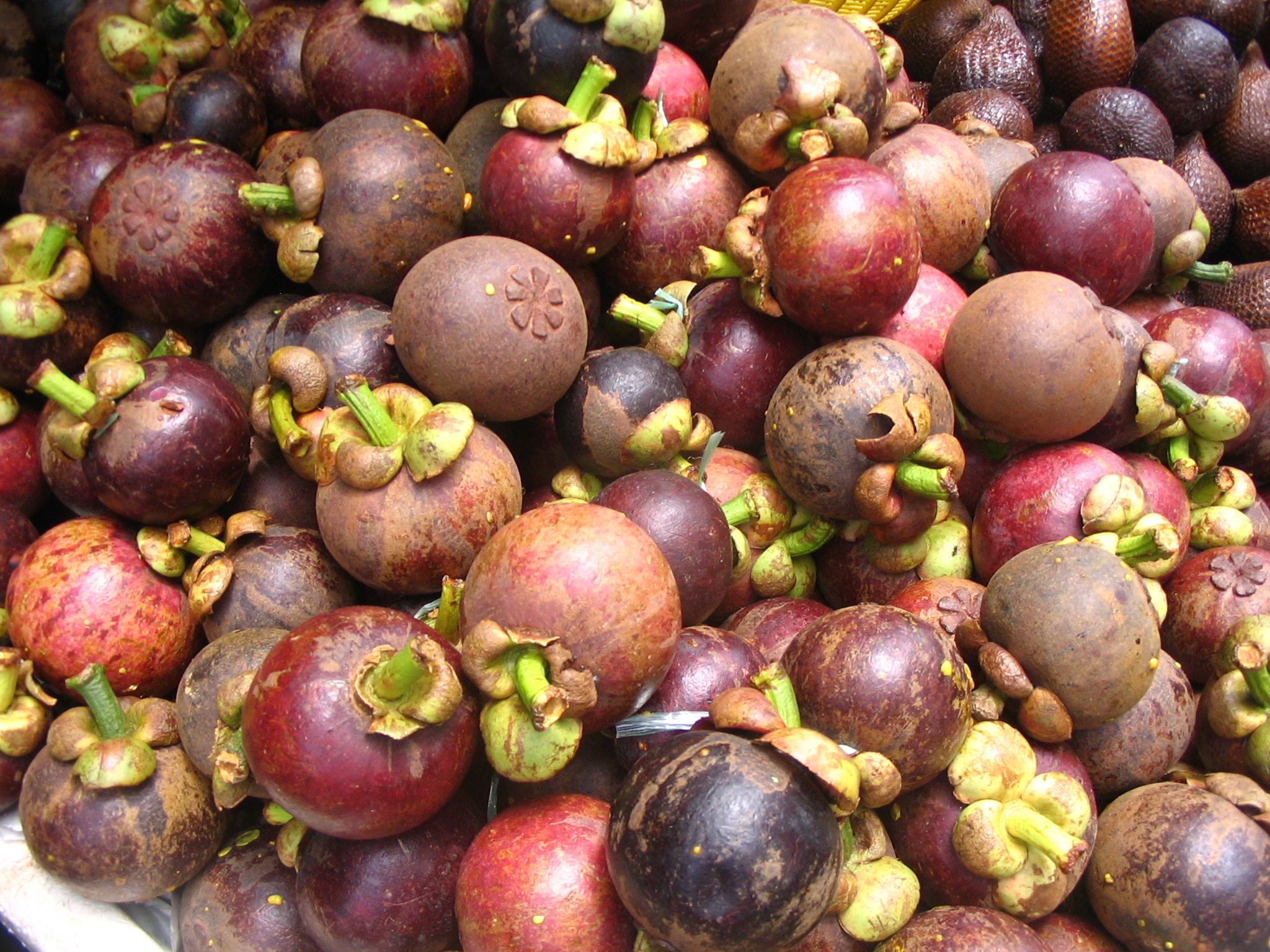 Mangosteen: Dark-purple or red-purple fruit with soft, thick rind on the surface. 2050x1540 HD Wallpaper.