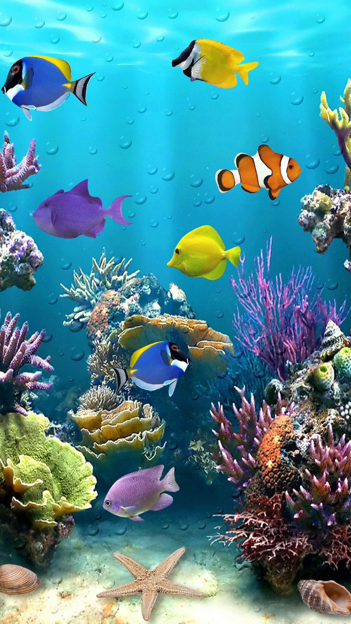 Coral Reef: Deep-water corals inhabit greater depths and colder temperatures at much higher latitudes, as far north as Norway, Although deep-water corals can form reefs, little is known about them. 1440x2560 HD Background.