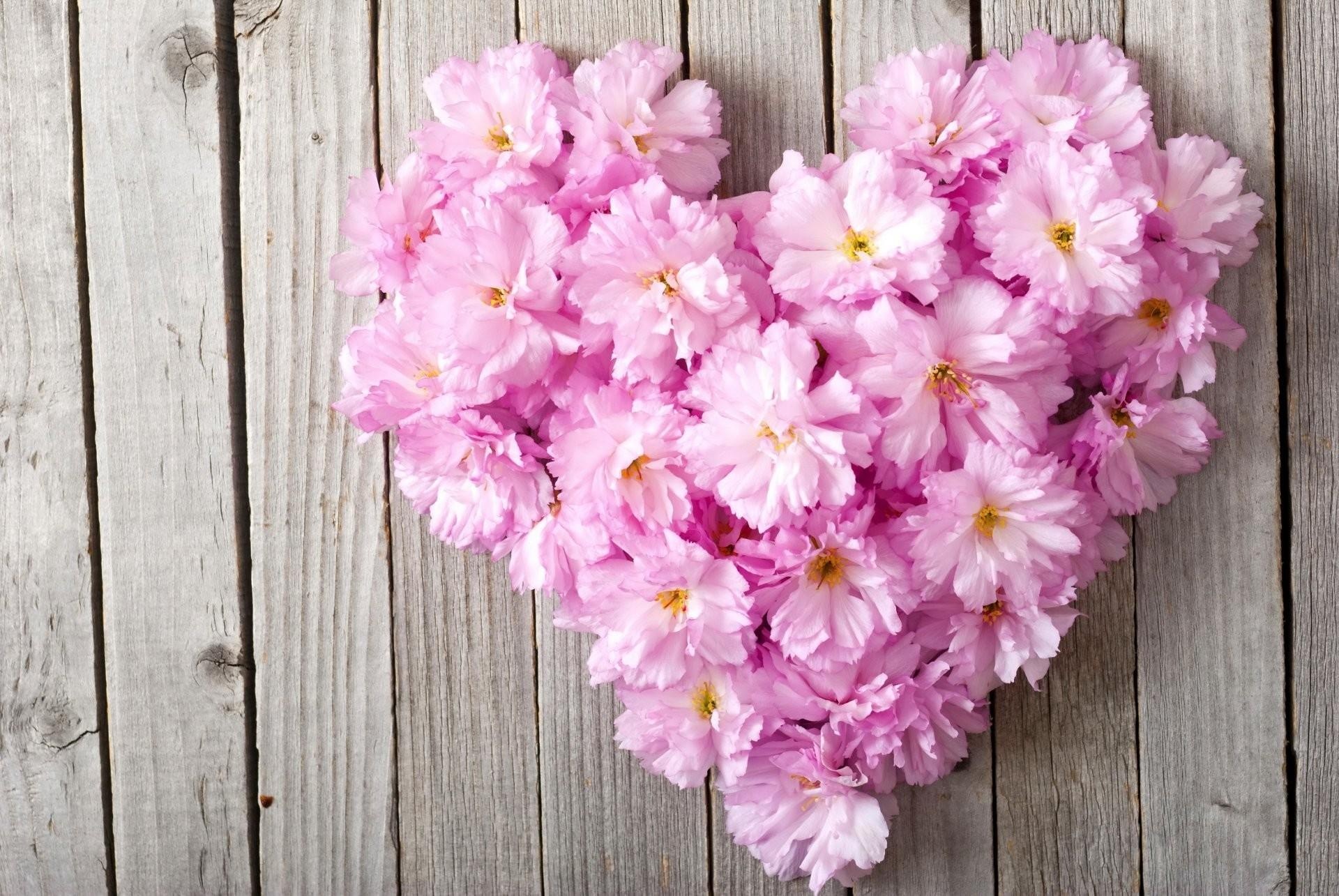 Pink heart, Floral beauty, Soft and delicate, Feminine wallpaper, 1920x1290 HD Desktop