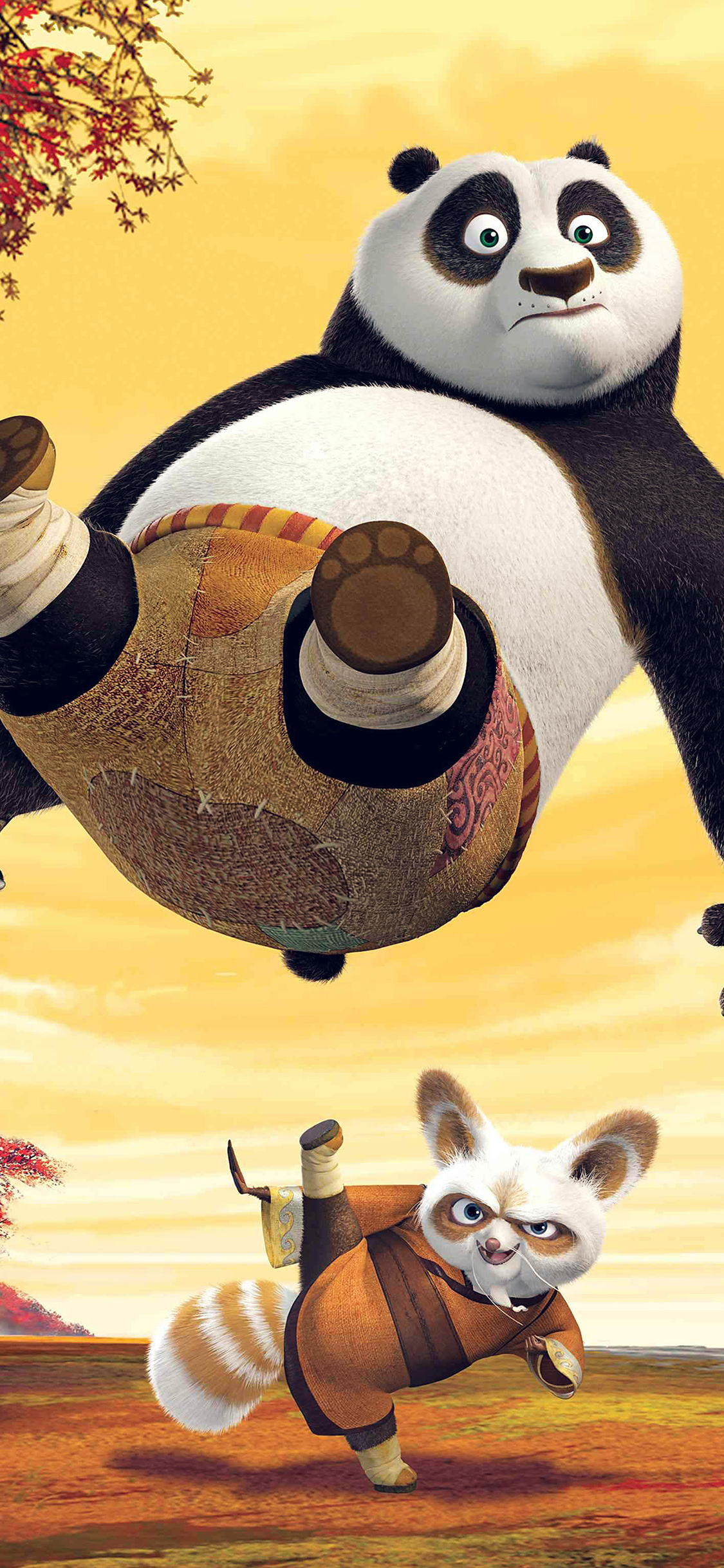 DreamWorks: Kung Fu Panda, The franchise consists mainly of three CGI-animated films. 1130x2440 HD Wallpaper.