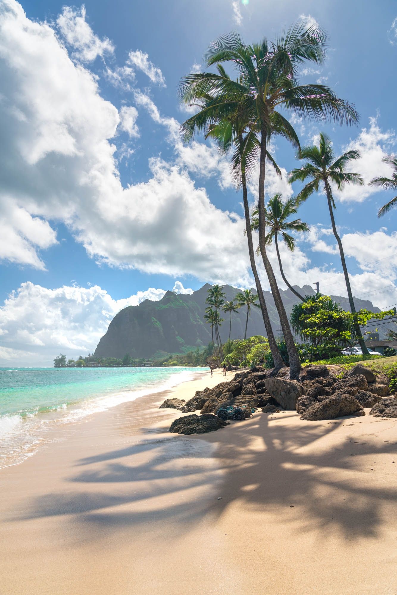Hawaiian Islands, Tropical paradise, Exotic beaches, Dream vacations, 1340x2000 HD Phone