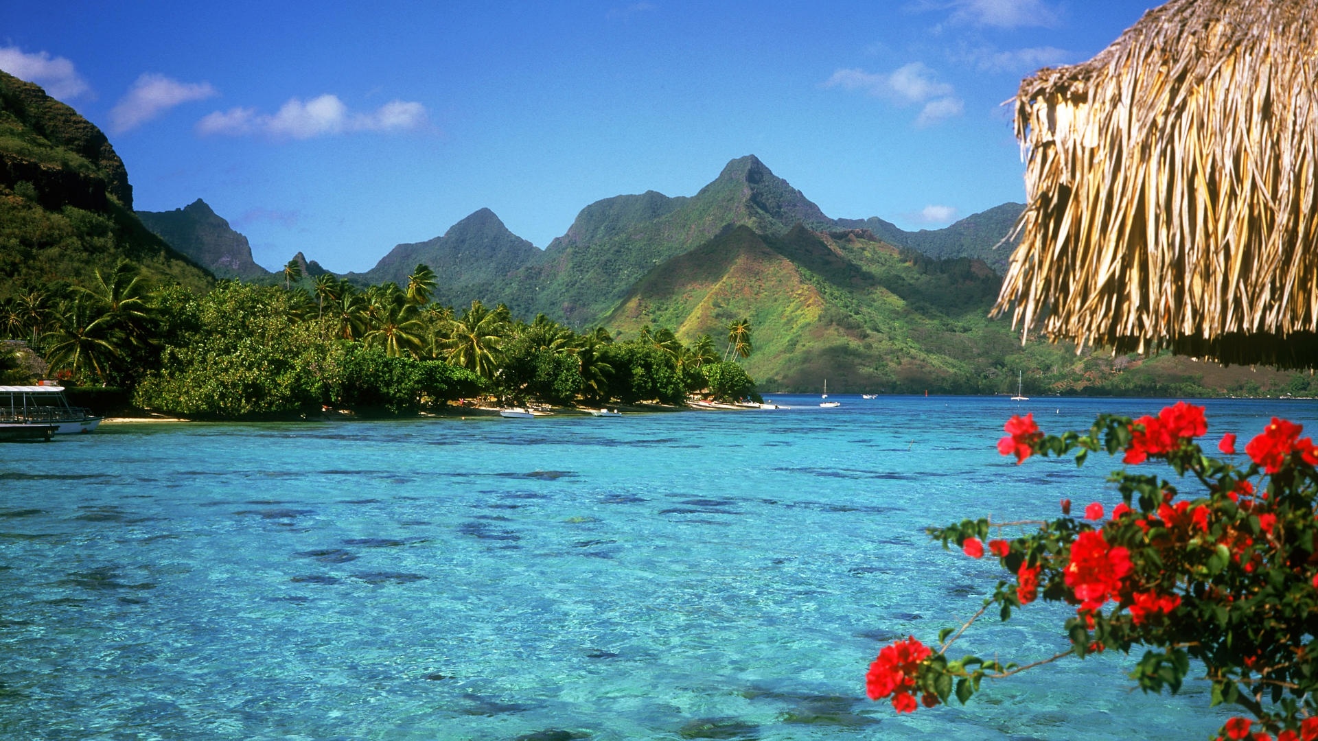 Bora Bora beauty, Tropical paradise, Exotic wallpaper, Stunning views, 1920x1080 Full HD Desktop