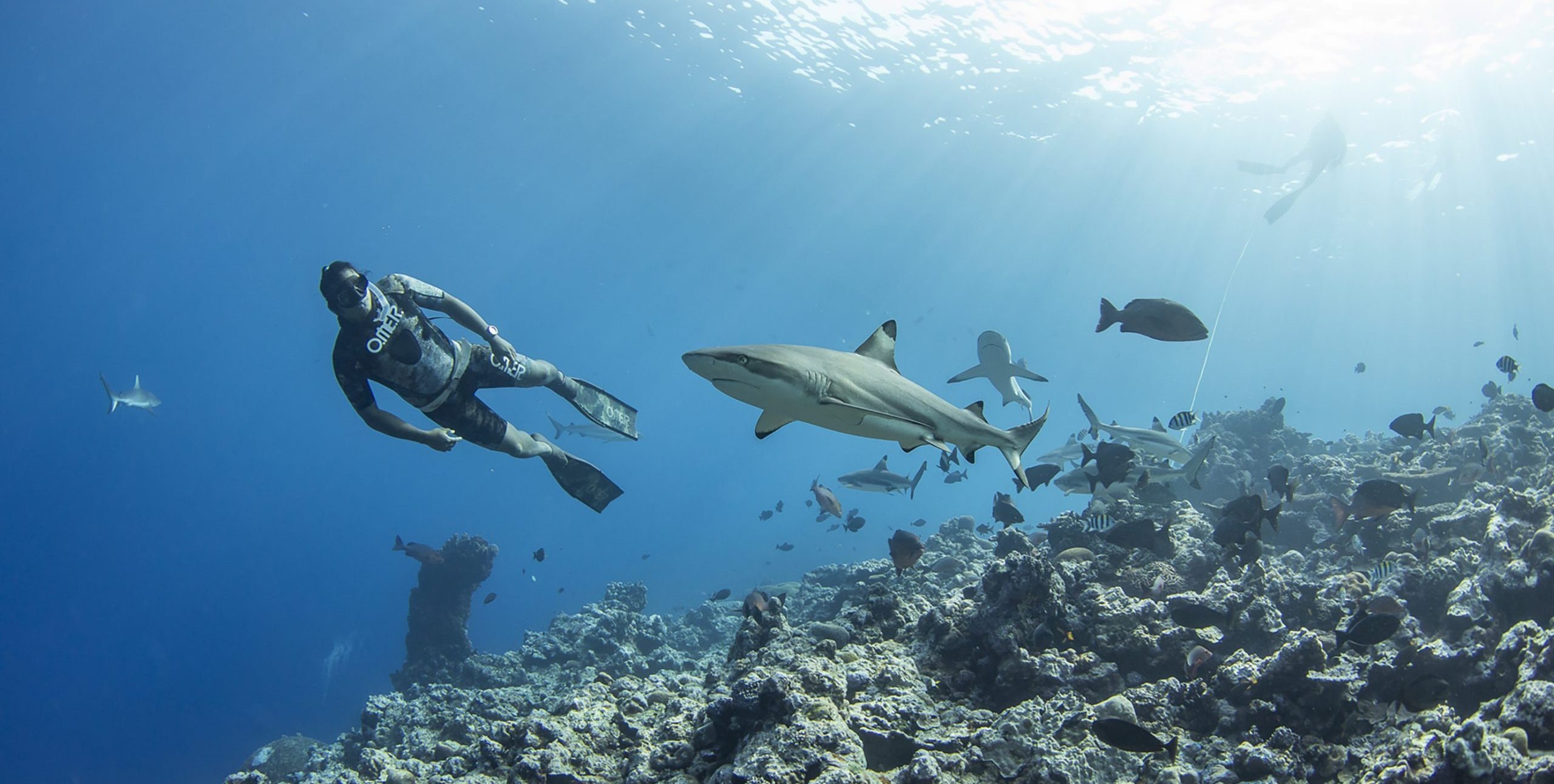 Freediving: Skin diving with sharks in Micronesia, Extremely dangerous underwater sports activity. 2560x1300 HD Wallpaper.