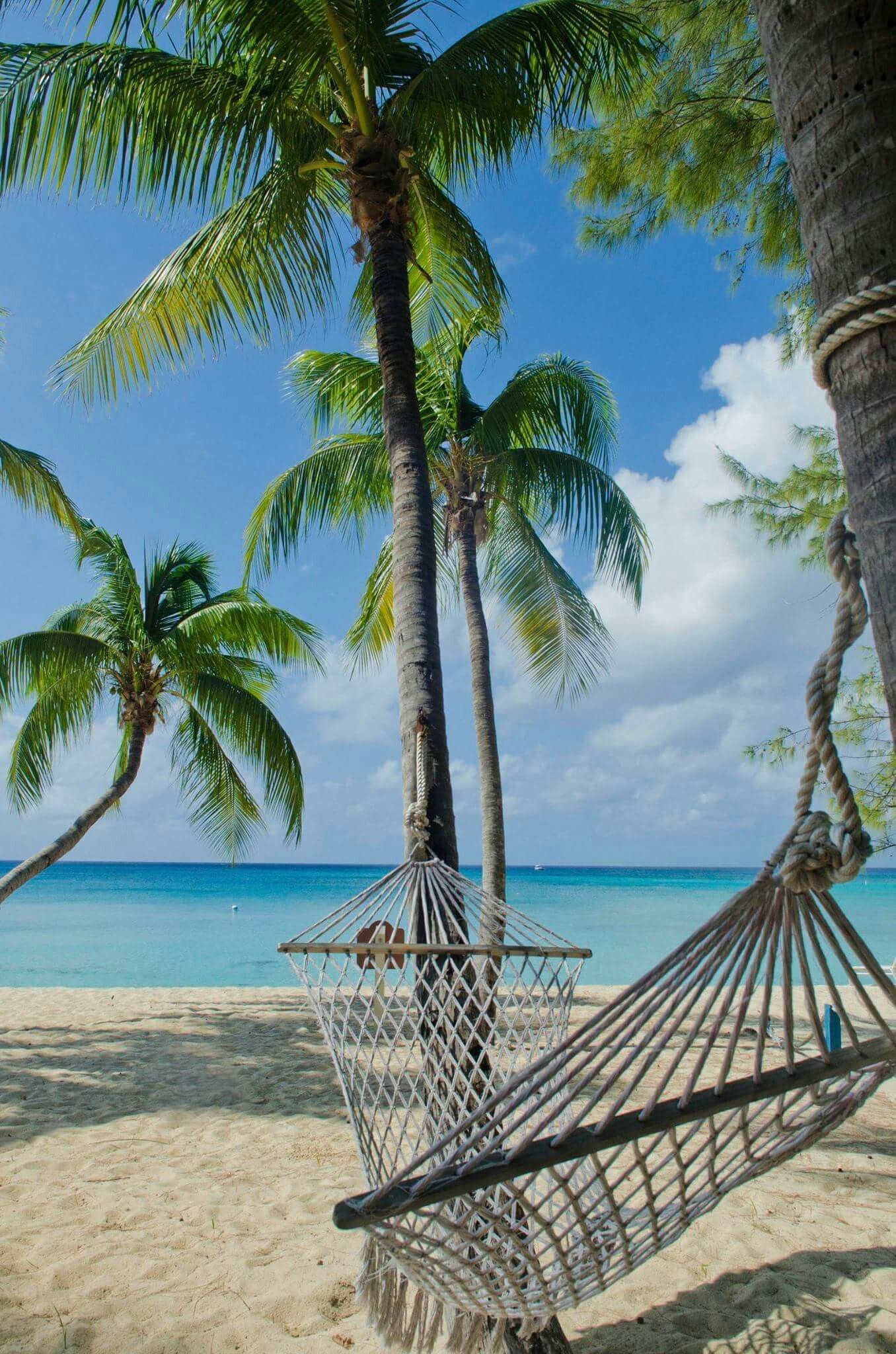 Cayman Islands, Travels, Beach on Cayman islands, Resorts, 1360x2050 HD Handy