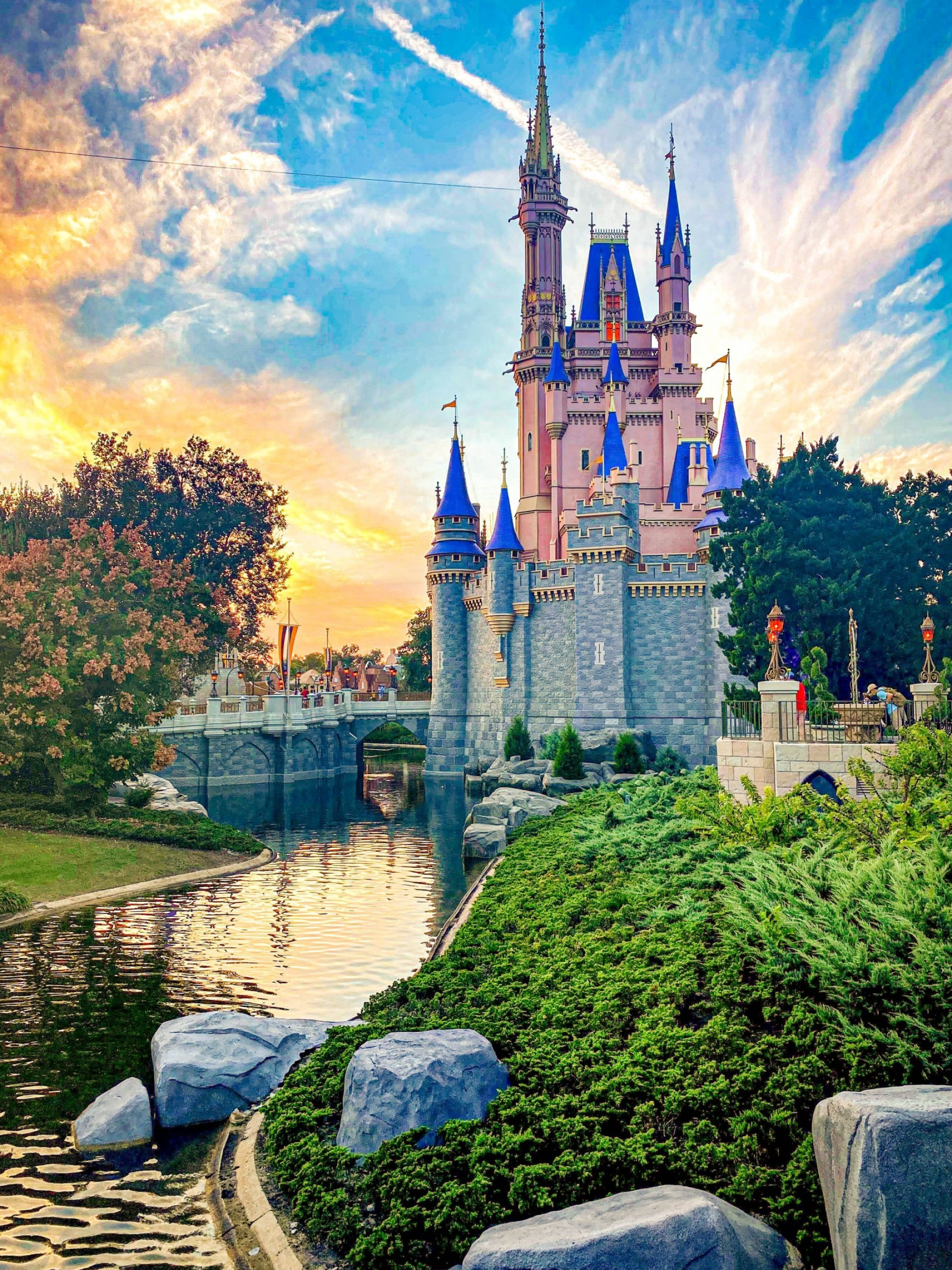 Walt Disney World Resort, Magical wallpapers, Disney wonders, Theme park dreams, 1920x2560 HD Phone