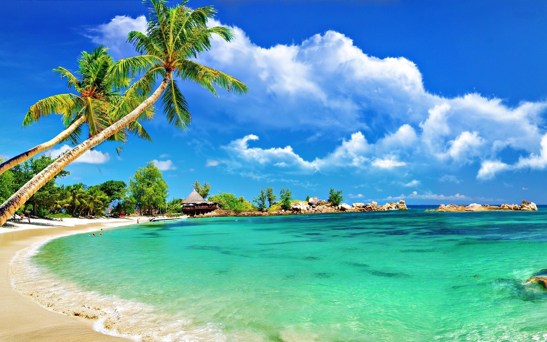 Tropical beach escape, Desktop wallpaper, Background inspiration, Coastal serenity, 1920x1200 HD Desktop