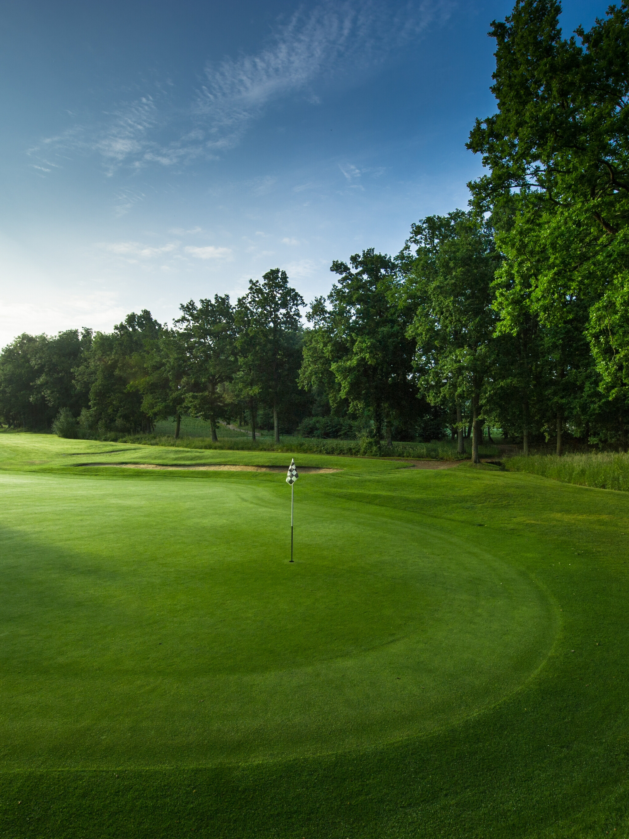 Golf: A club-and-ball sport, Finely-cut lawns, grassy fields. 2050x2740 HD Background.