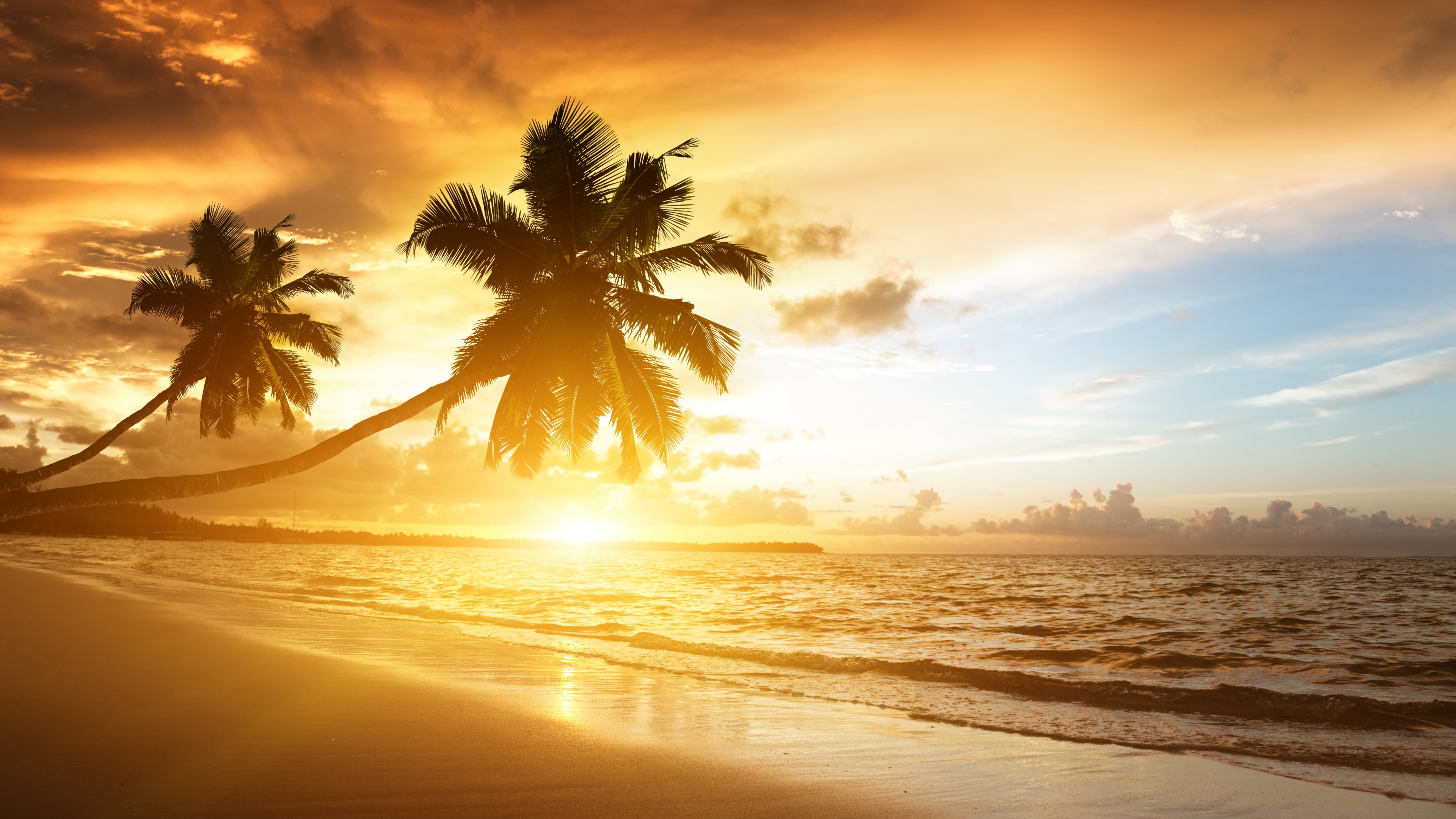 Beach 5K wallpaper, Ocean sunset, Palm trees, Vacation journey, 3840x2160 4K Desktop
